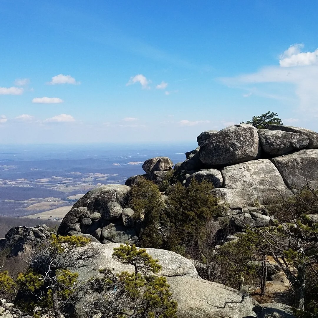 &quot;I think, every time I'm on the mountain, I'm just so thankful to be there.&quot;
- Chloe Kim #nature #naturephotography #shenandoahnationalpark #mountain #chloekim