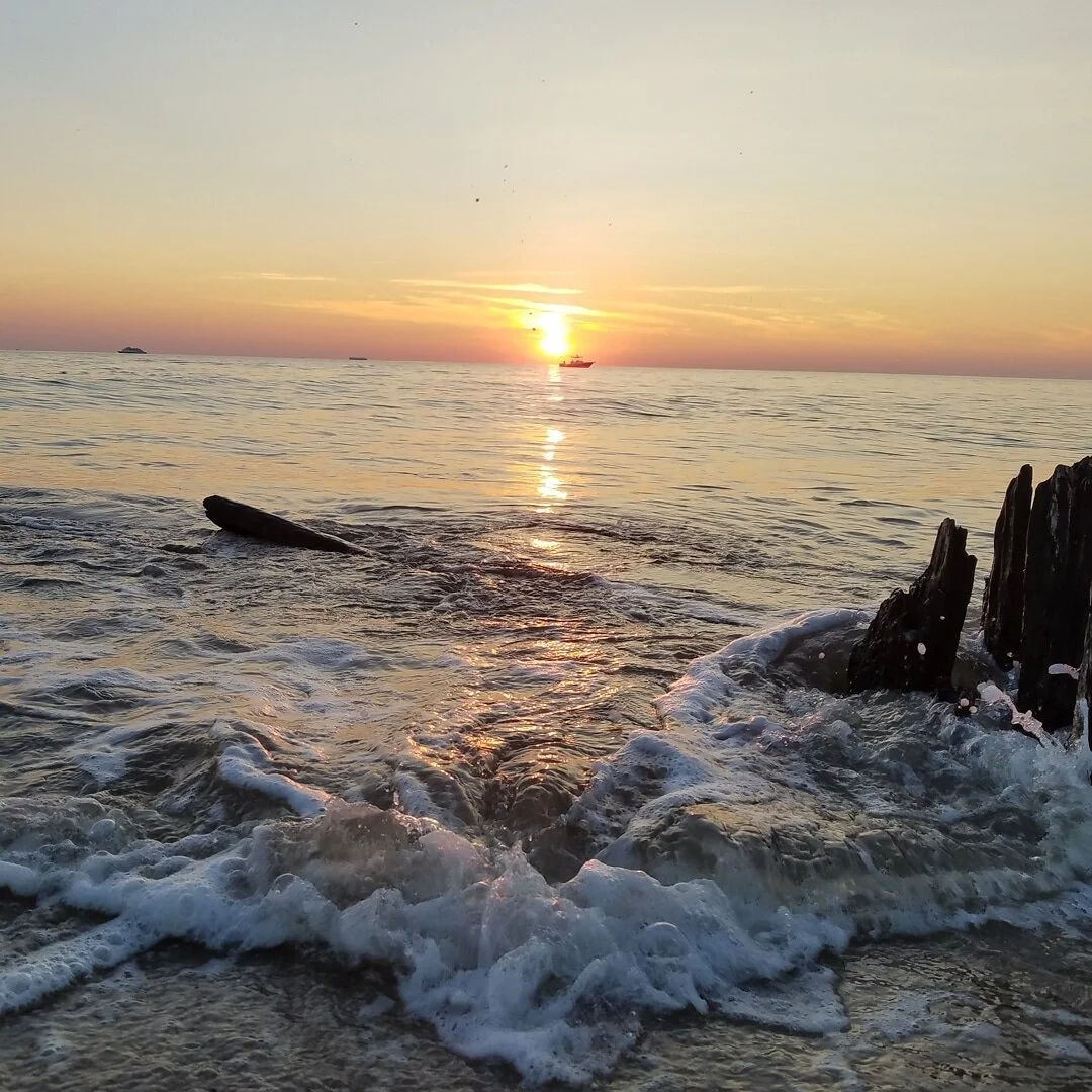 &quot;There's a sunrise and a sunset every single day, and they're absolutely free. Don't miss so many of them.&quot;
- Jo Walton #nature #naturephotography #jowalton #sunset #sunsetphotography