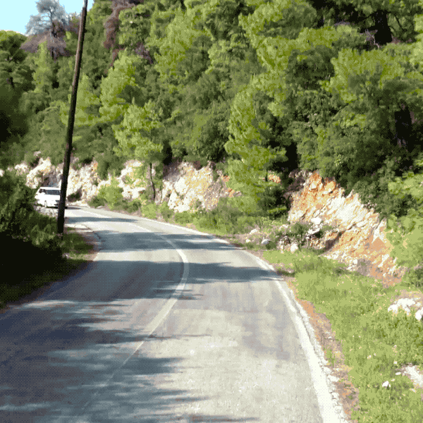 DOGUINHO CARAMELO 20191127 1615h.gif