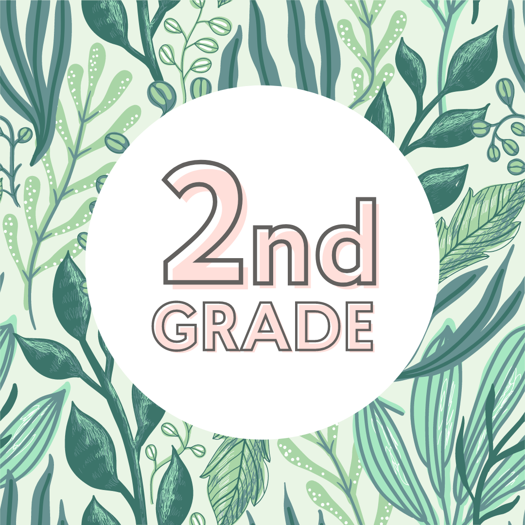 2nd Grade Live