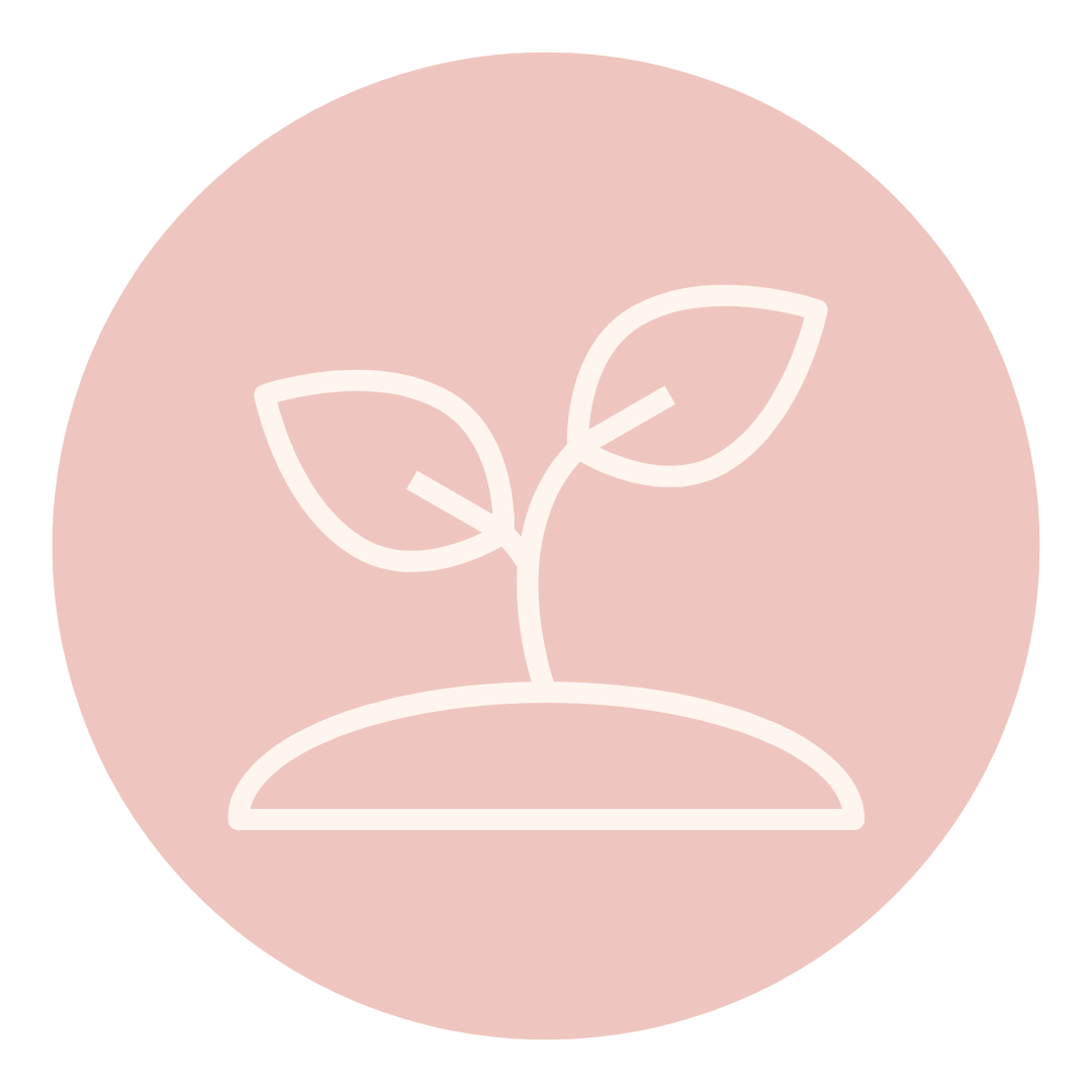 Growth