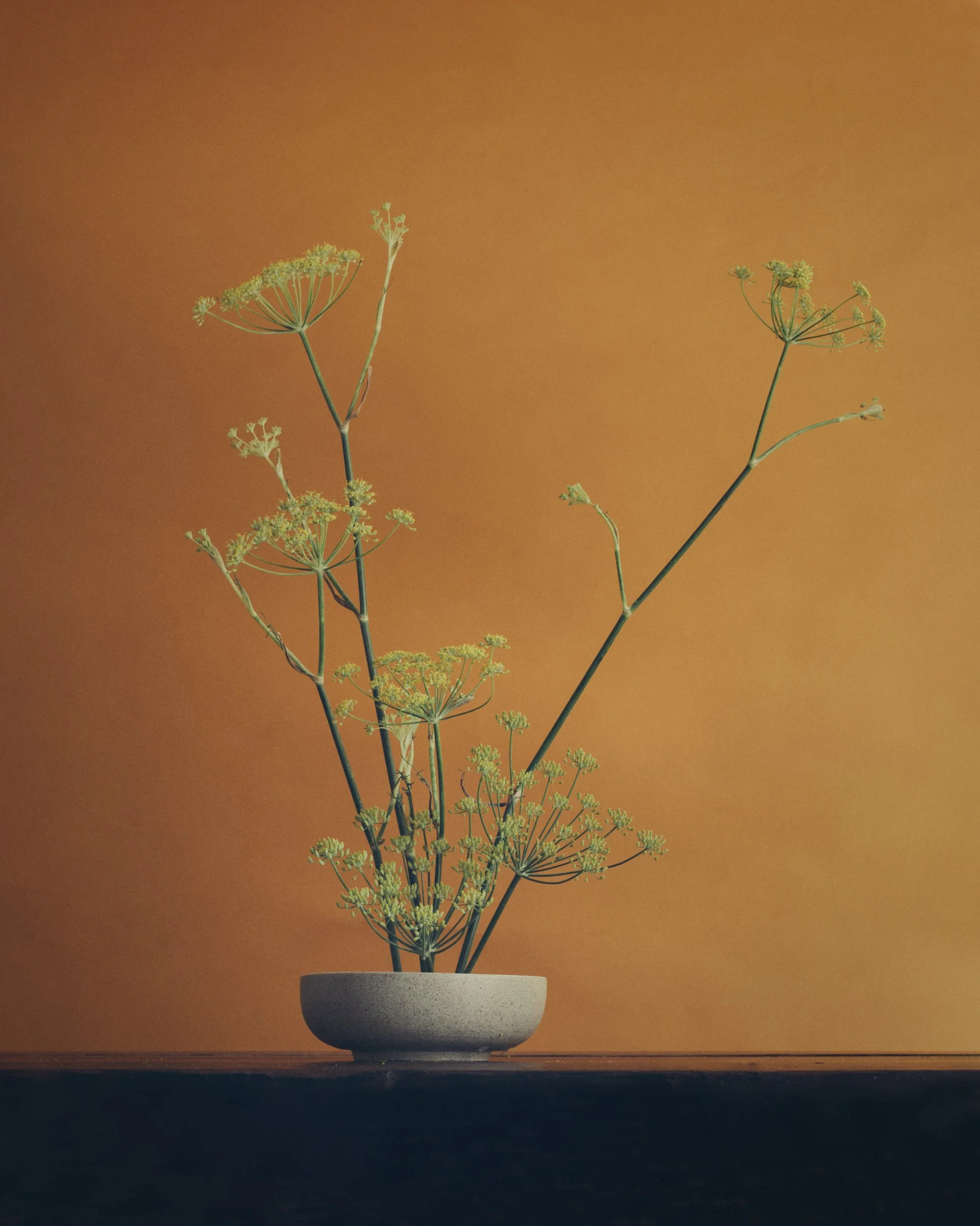 Ikebana-lores.jpg