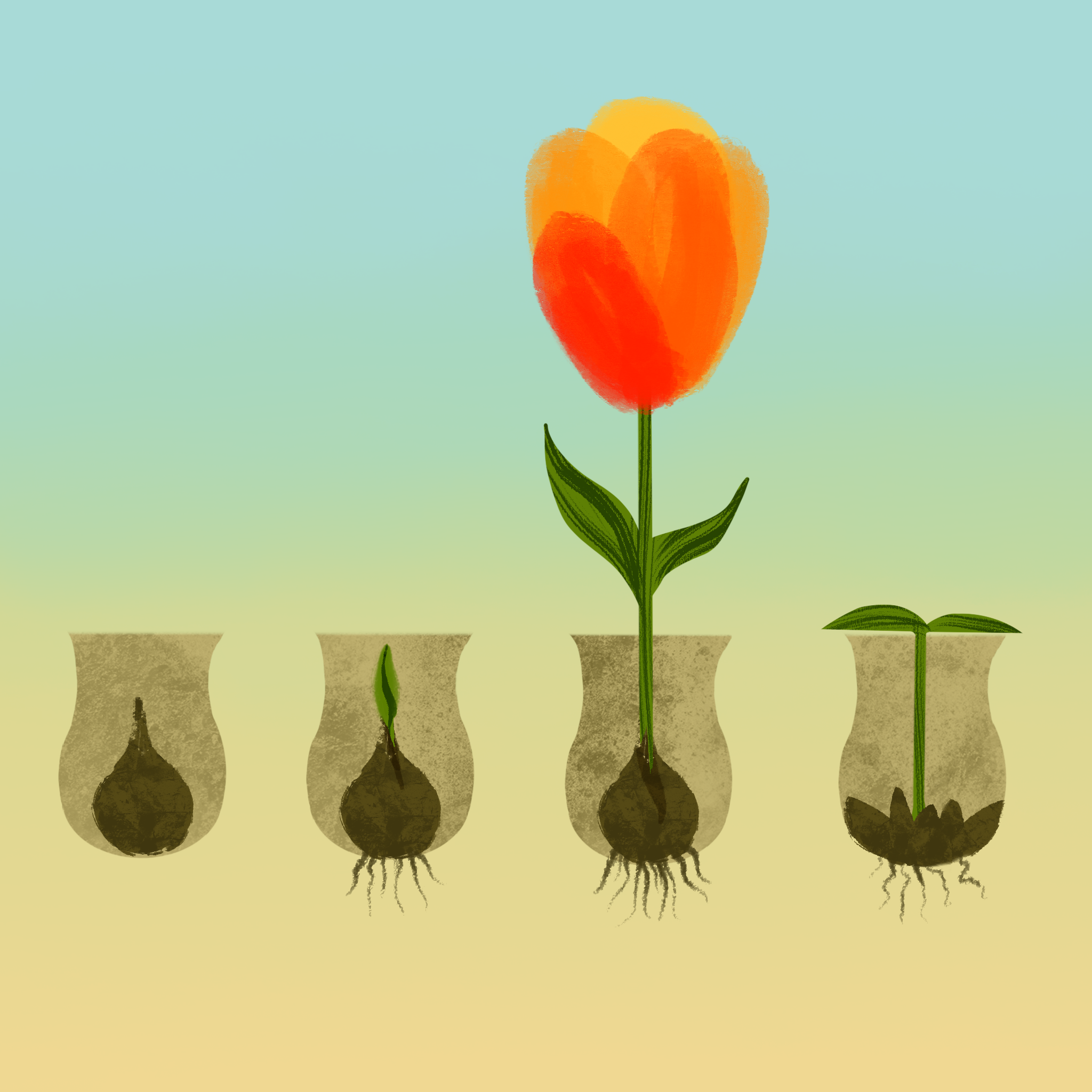 Untitled_Artwork 2.png