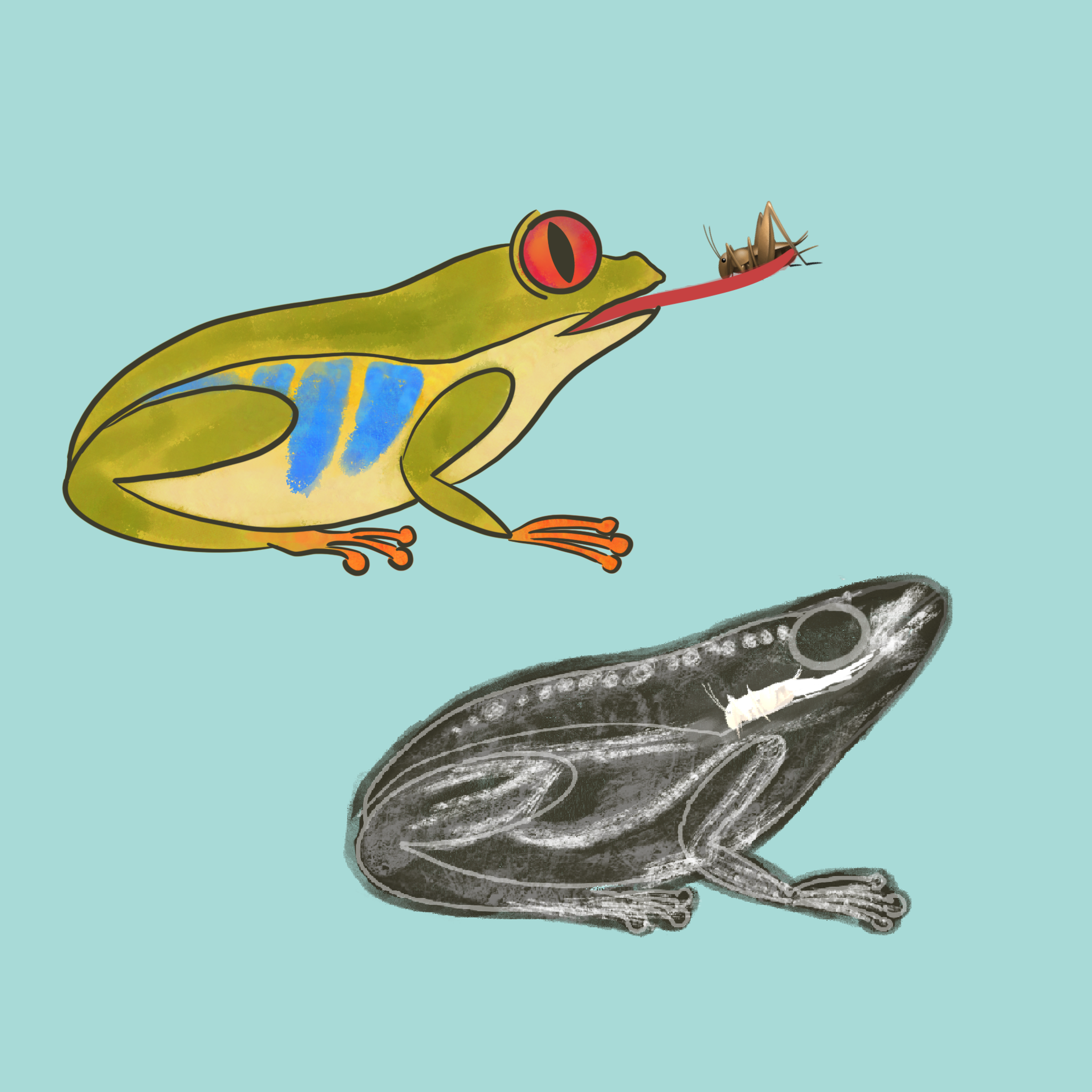 Untitled_Artwork 14.png