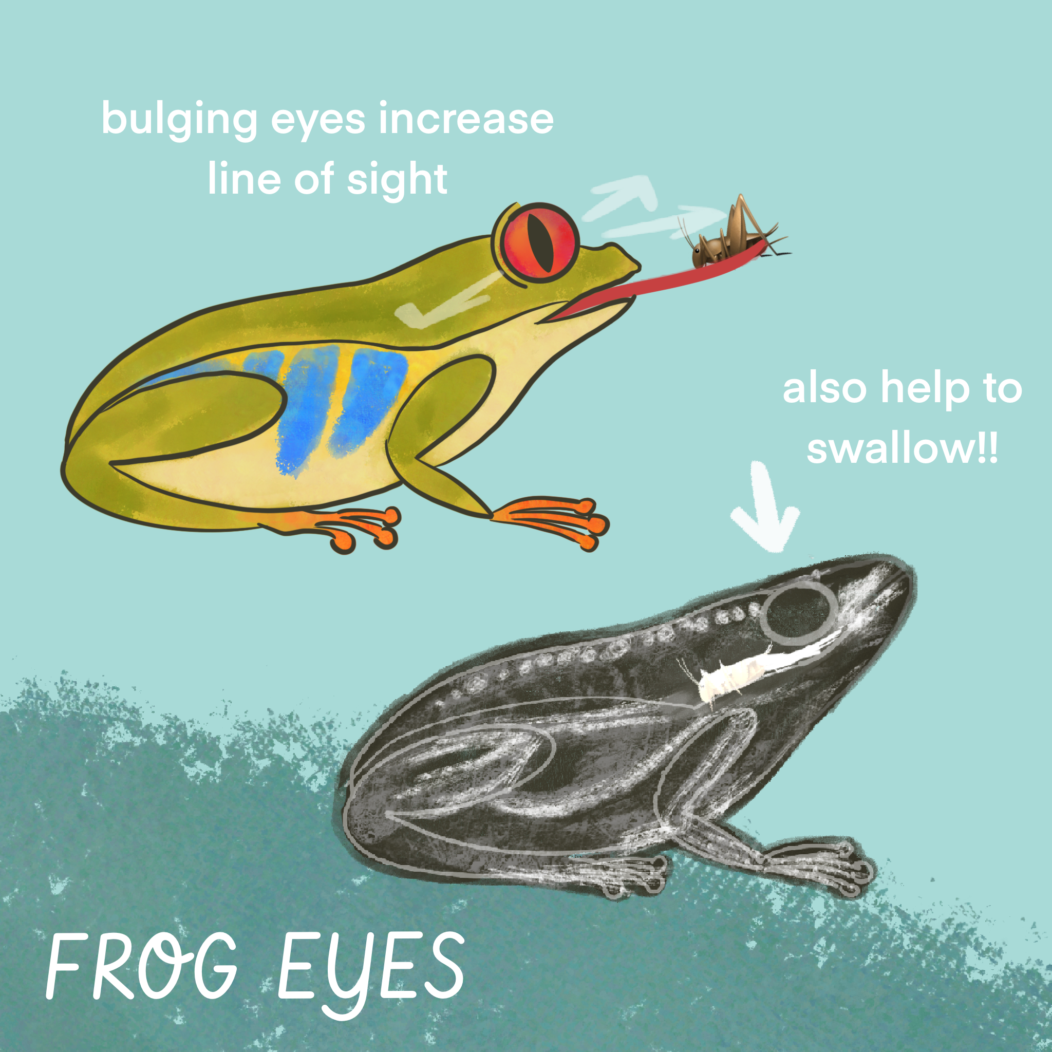 Untitled_Artwork 15.png