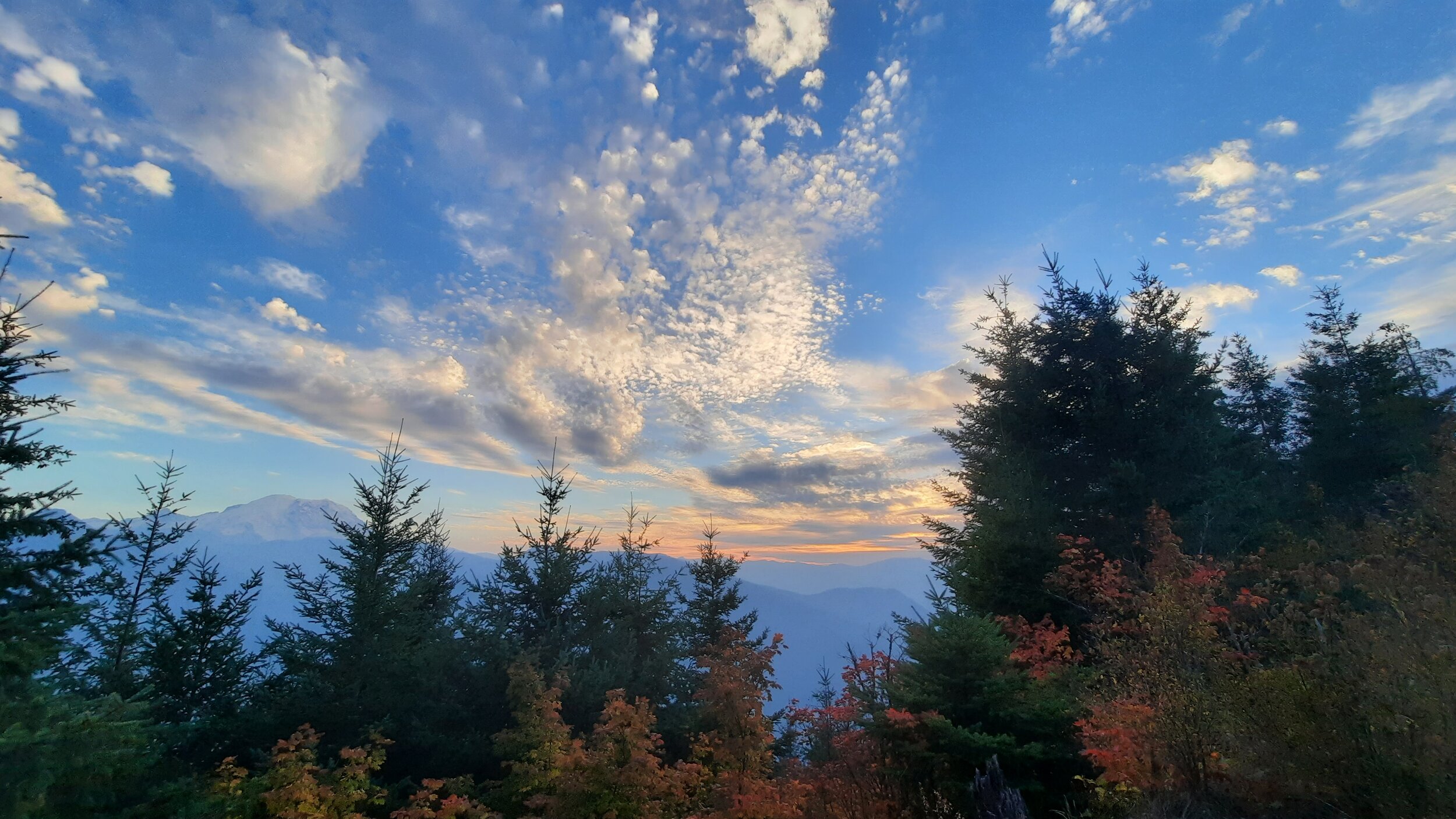 20210924_183745.jpg