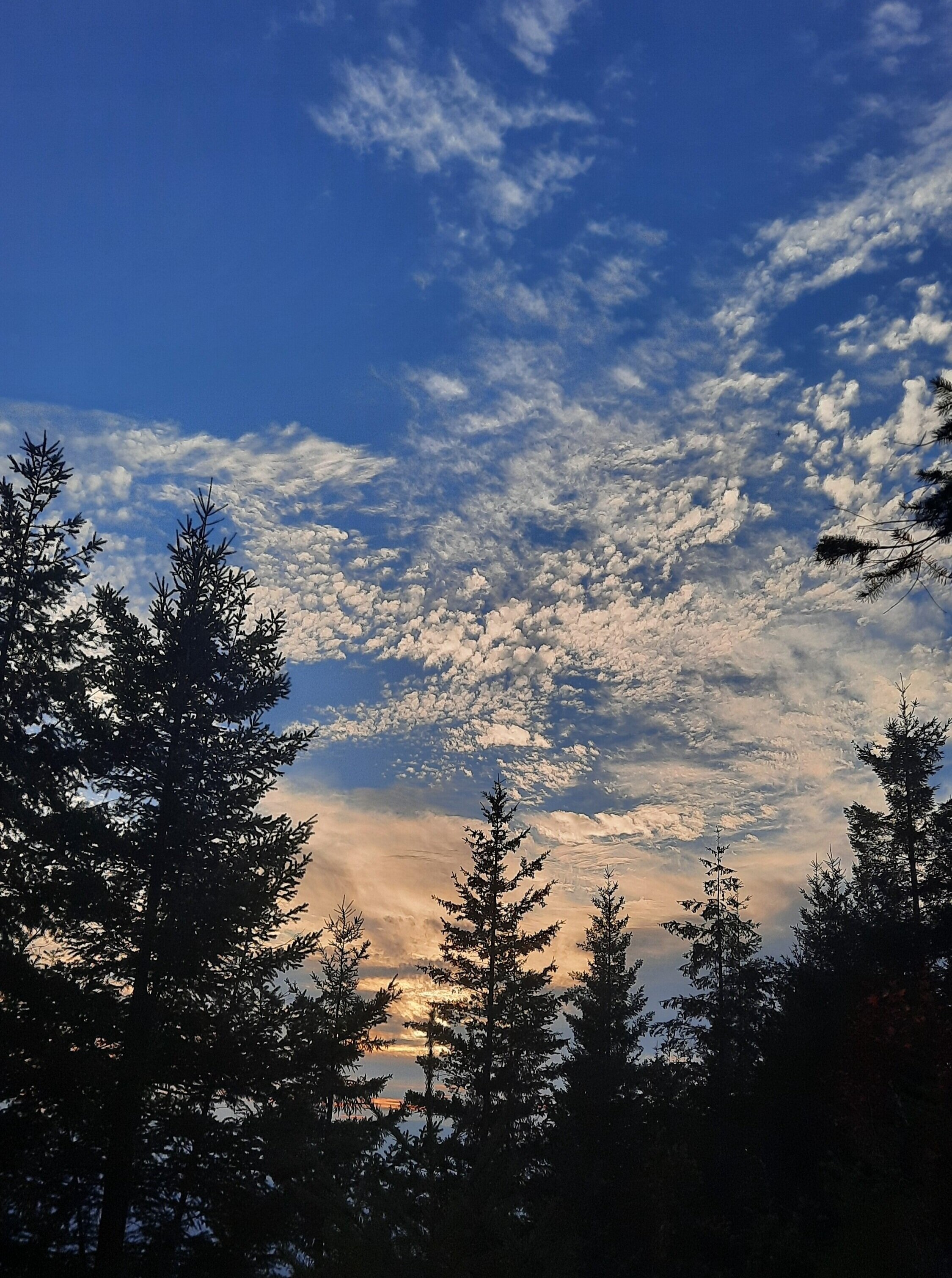20210924_182422.jpg