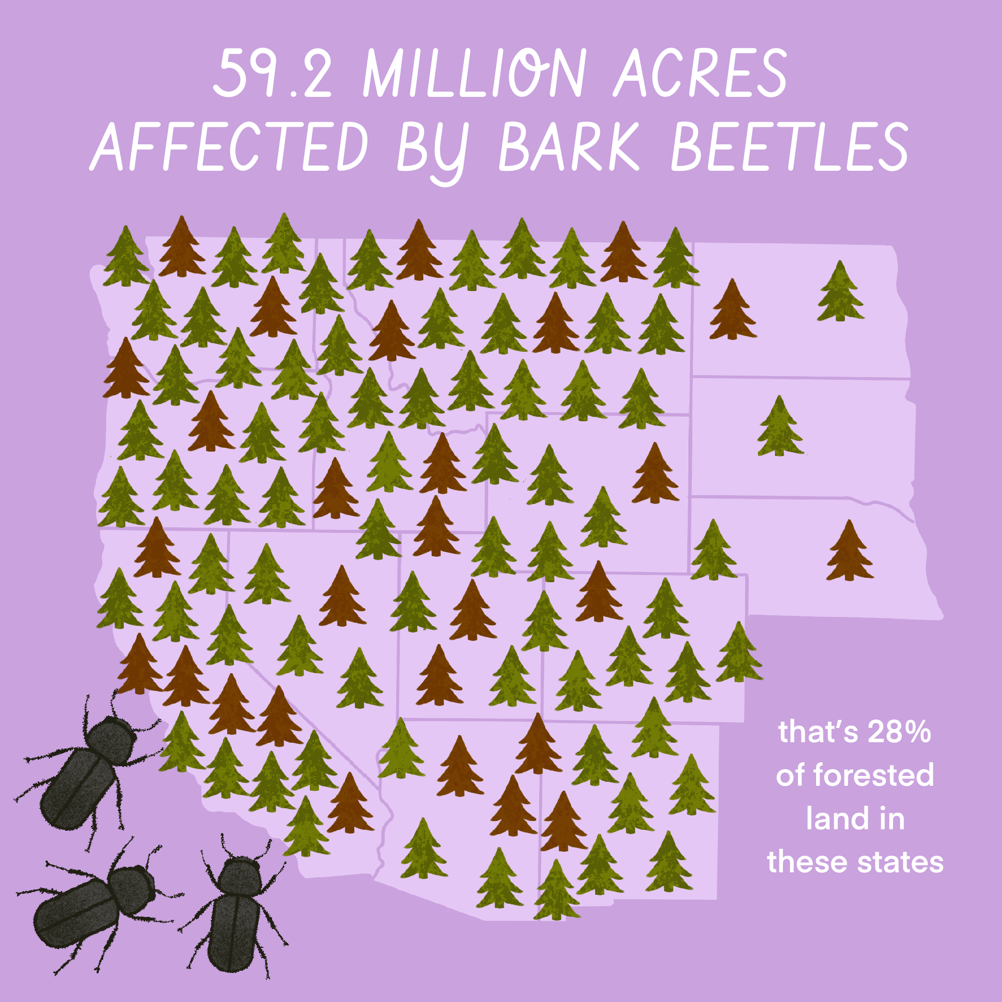 Untitled_Artwork 4.png