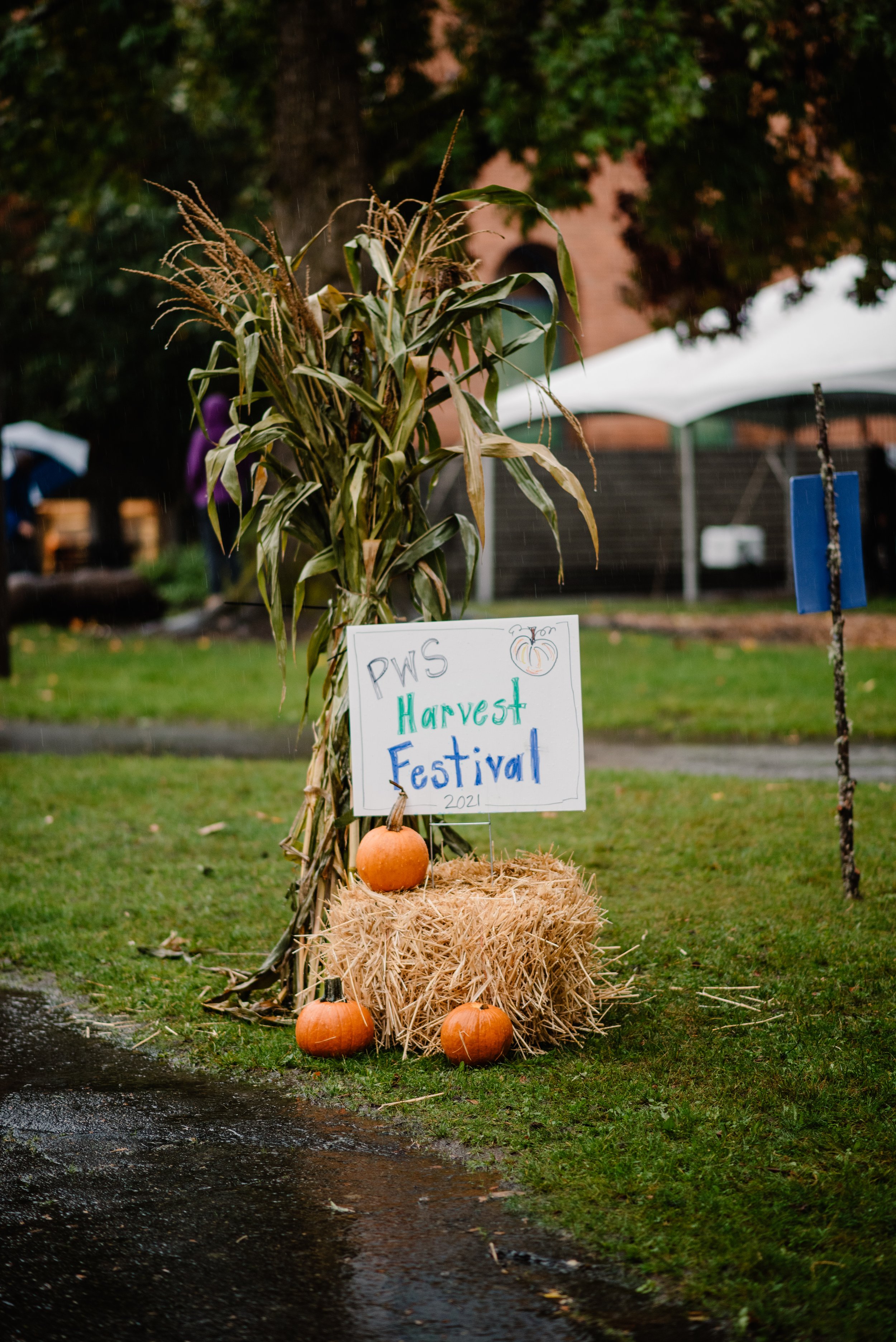 PWS-Harvest-Festival-2021-3847.jpg