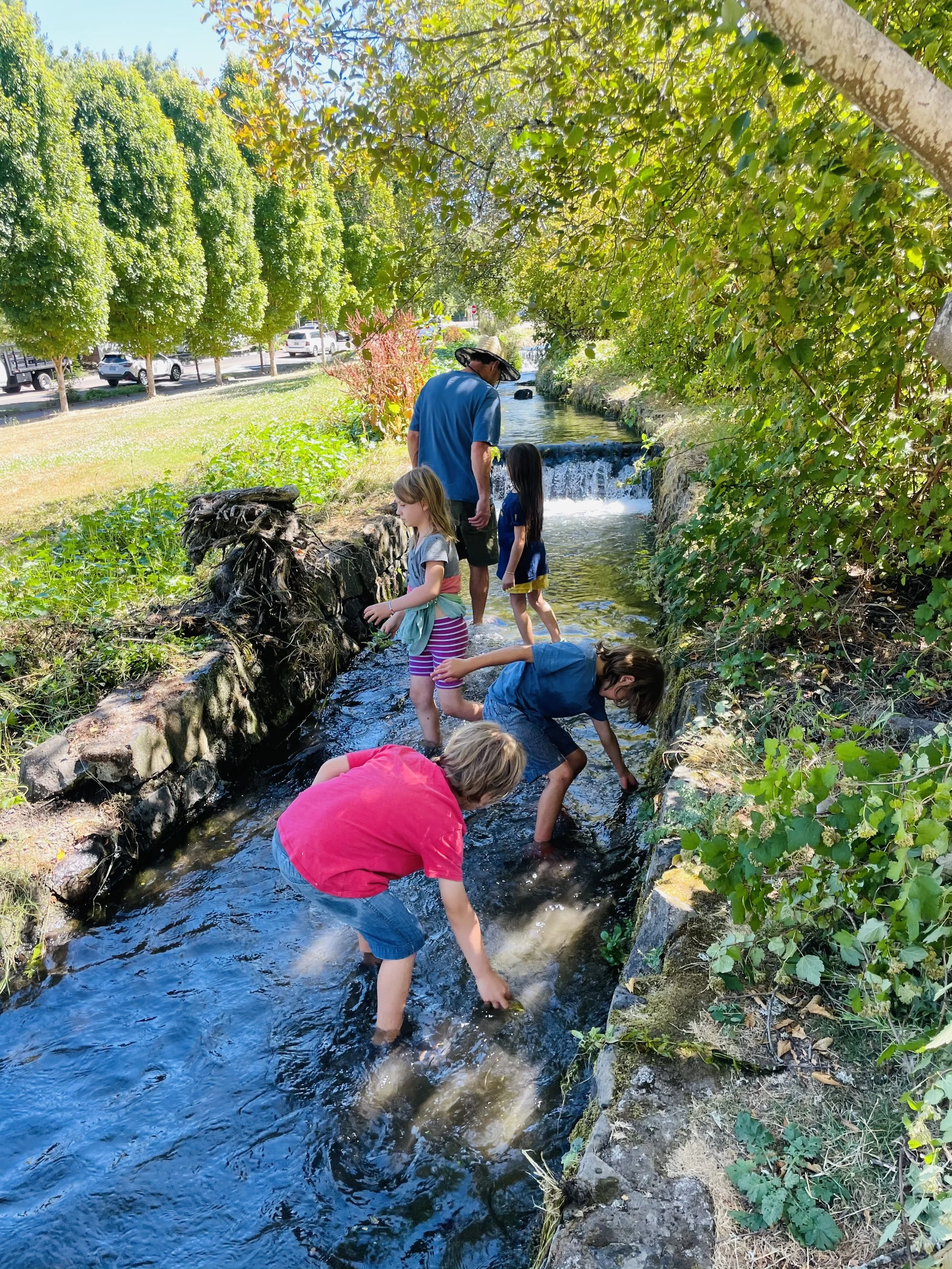At camp, curious campers engage in hands-on, screen-free activities to explore the art and nature of wolves, learning about their diet, communication, and behavior in the Pacific Northwest's outdoor wilderness.