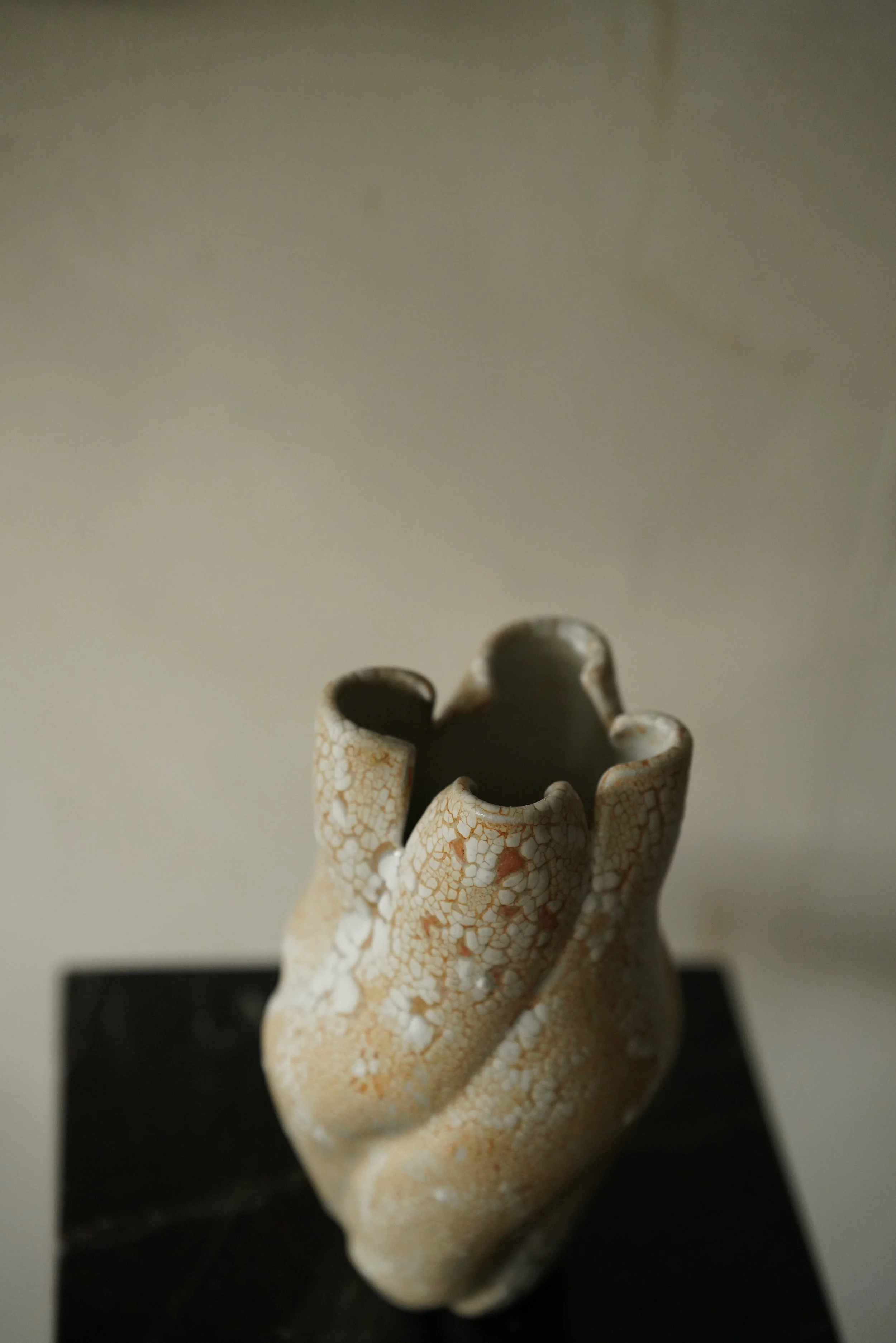 DSC06801.JPG