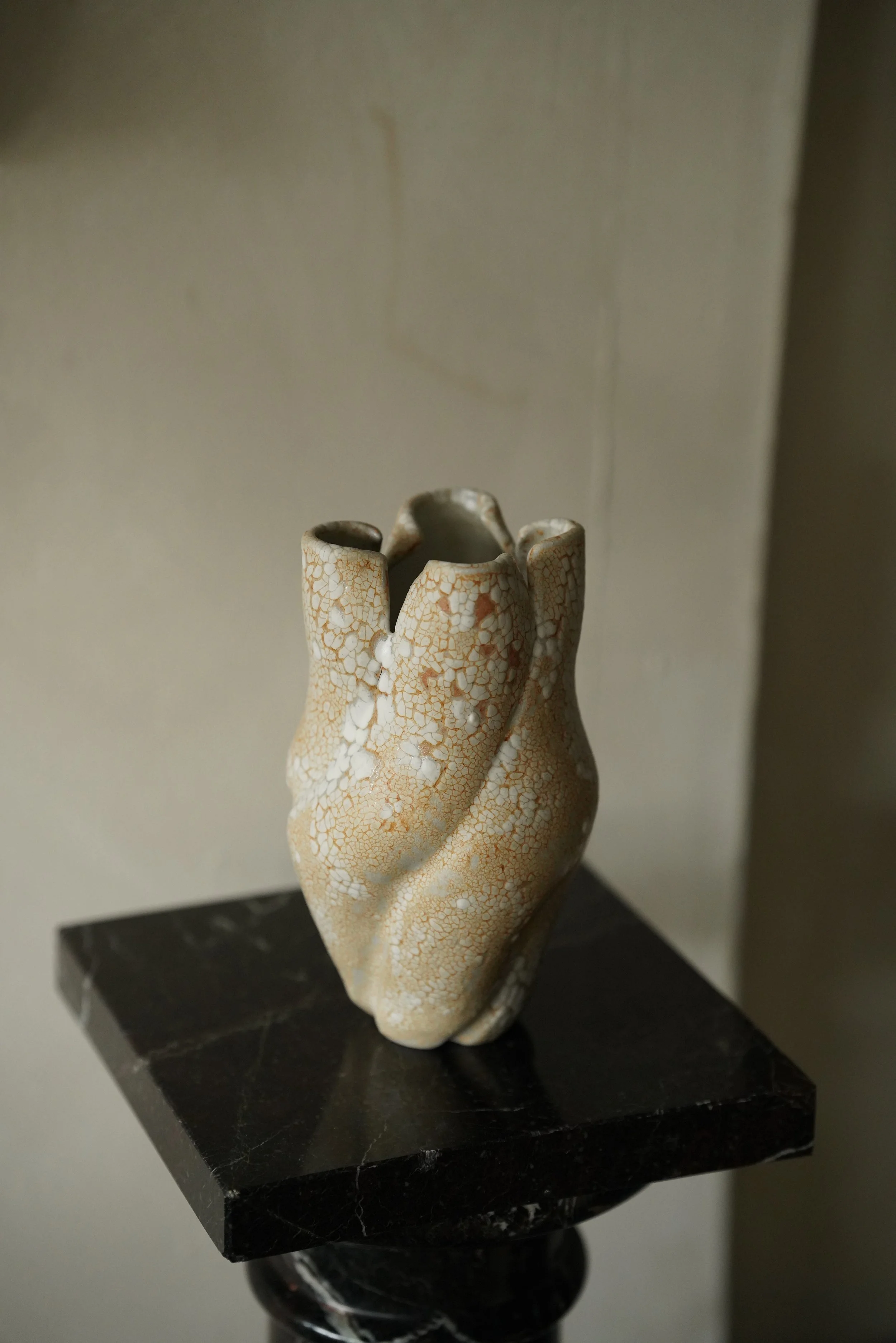 DSC06800.JPG