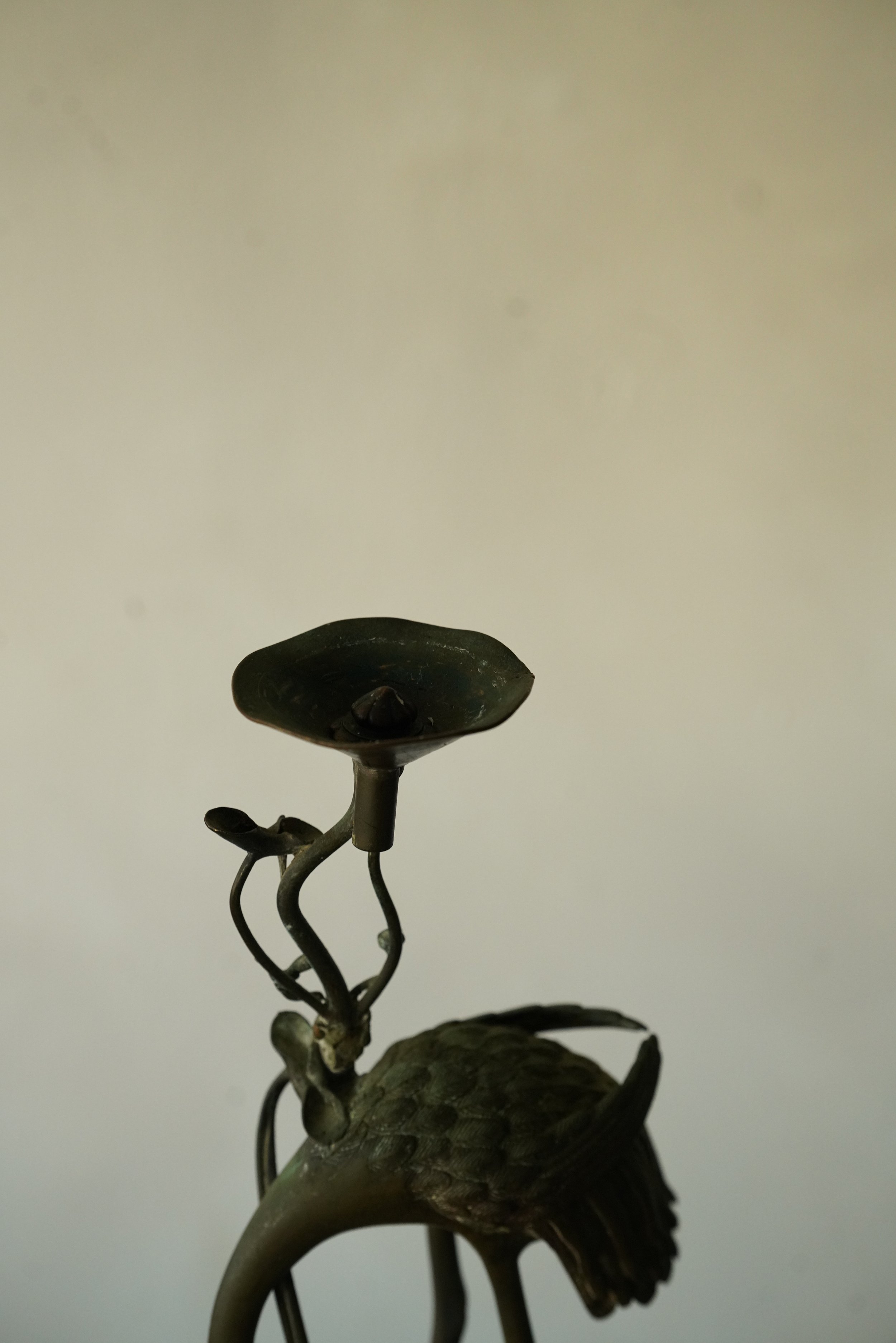DSC06876.JPG