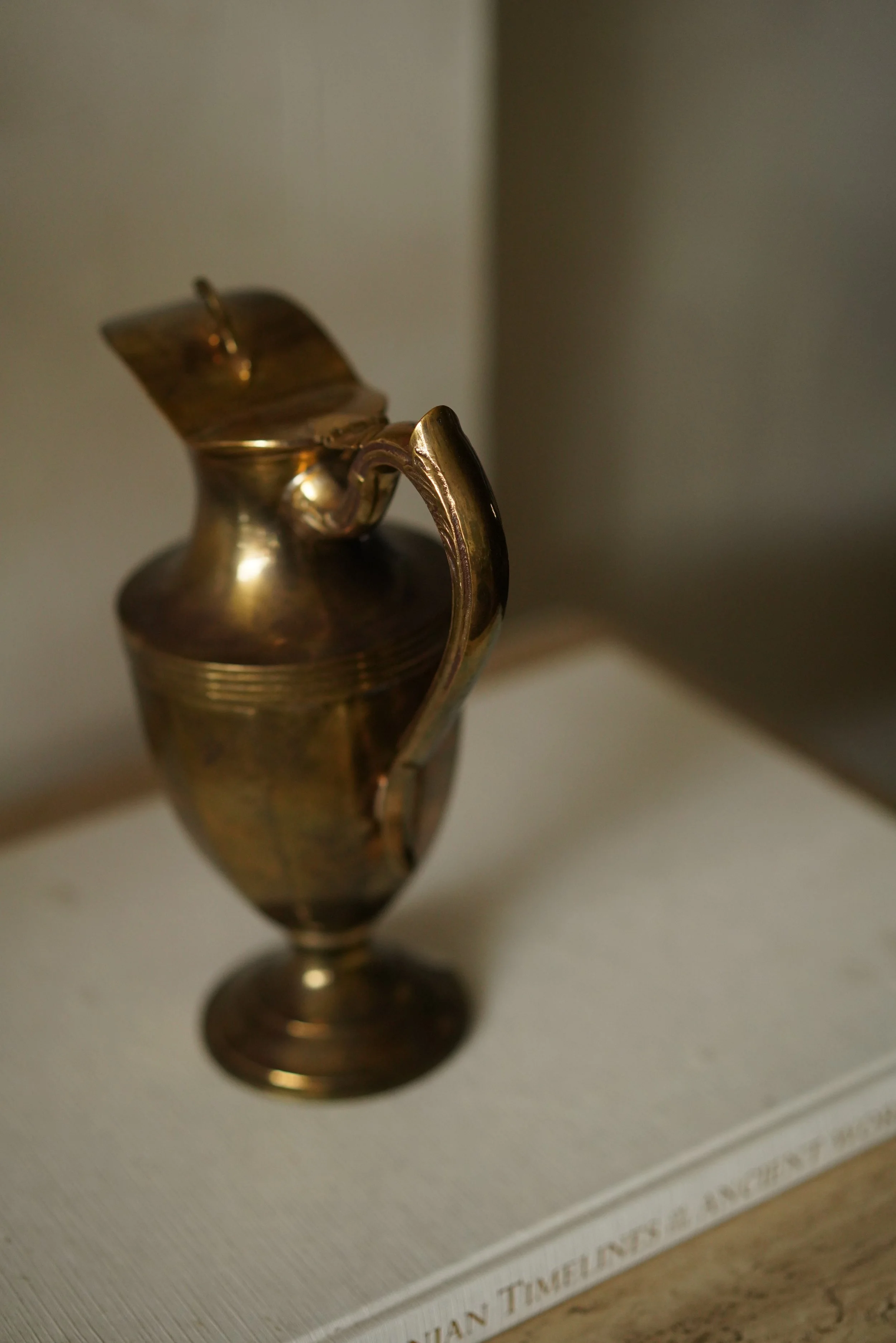 DSC06600.JPG