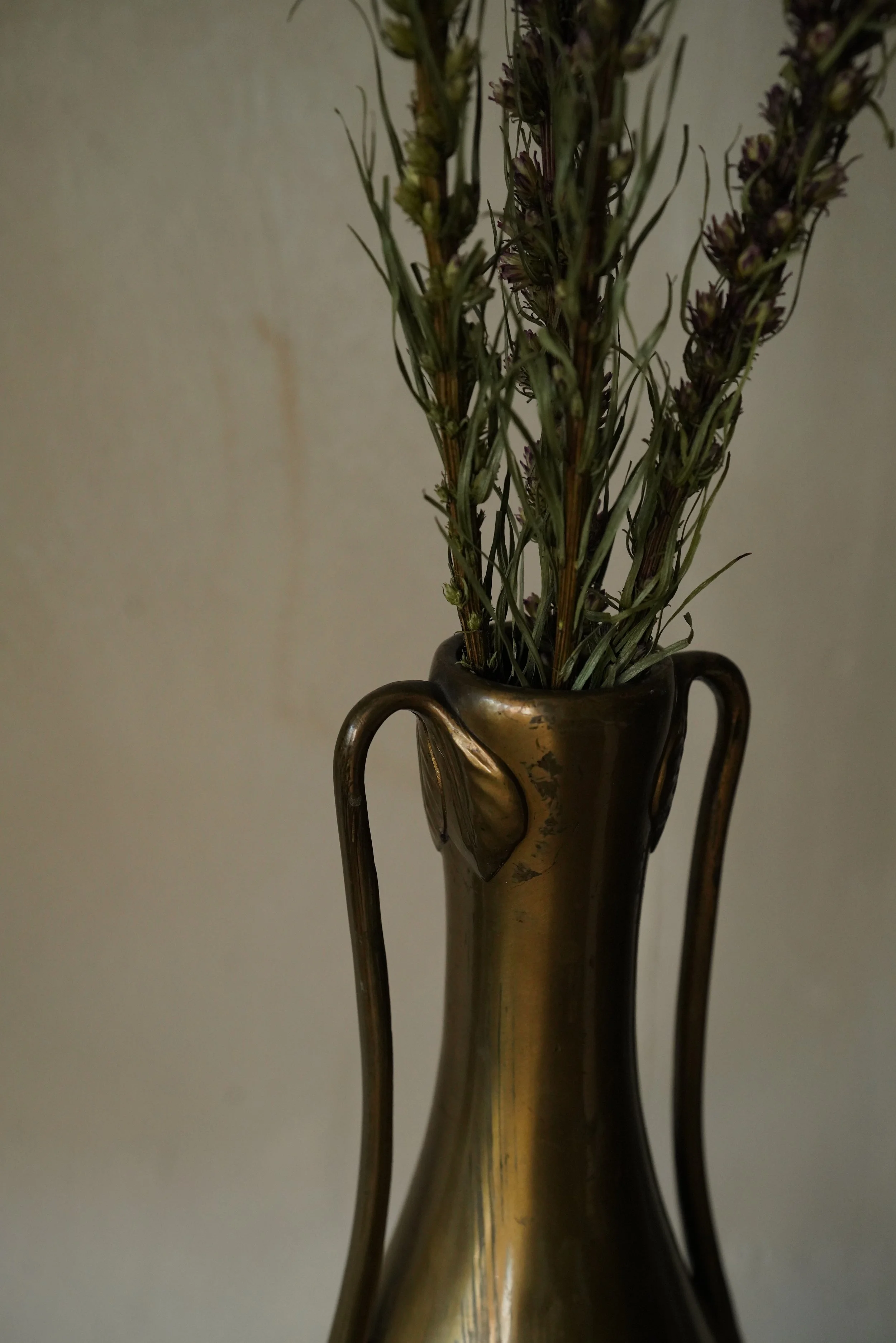 DSC06829.JPG