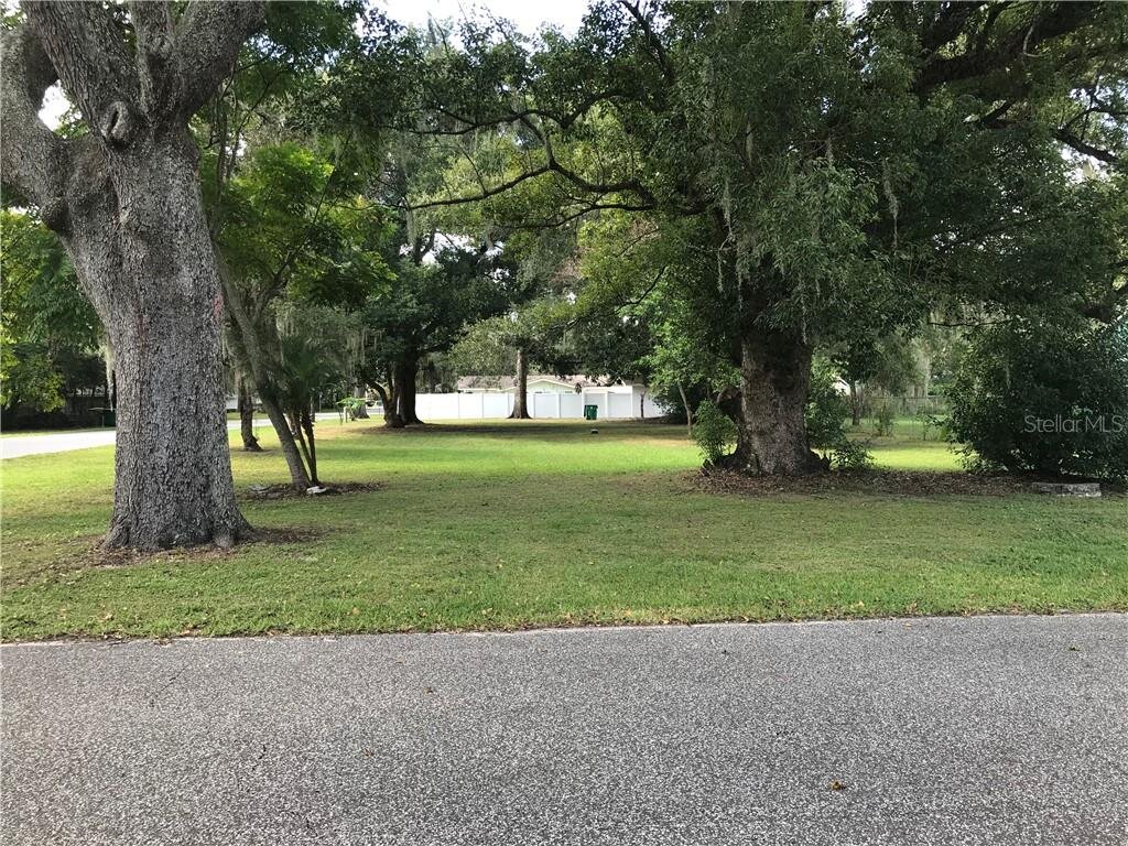 Zephyrhills Home 2.jpeg