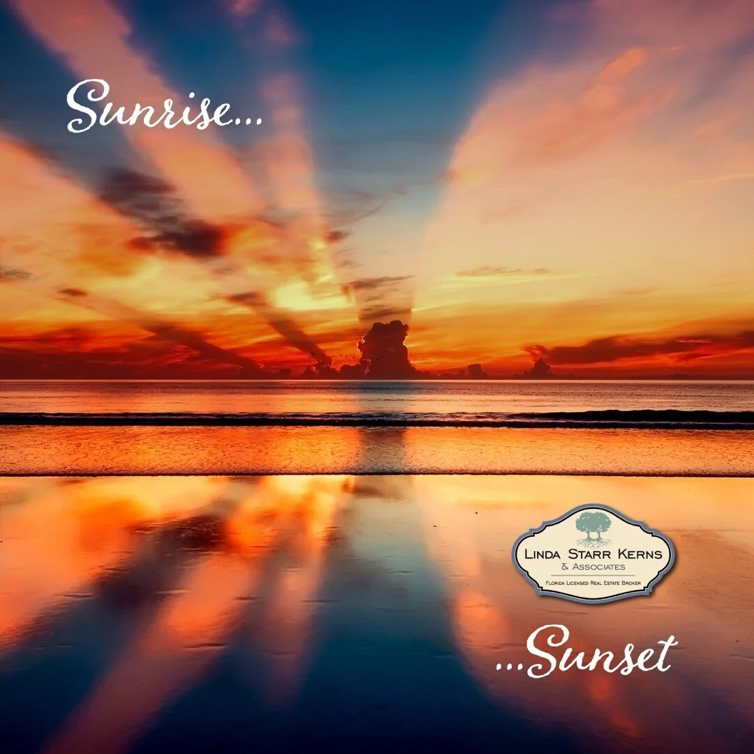 Beautiful sunrises and sunsets and everything in between! Pasco County has it all; let us help you find your new home! 813-833-0972 😀

#realestate #realty #broker #forsale #newhome #househunting #property #properties #realtorpascocounty #buyinghomes