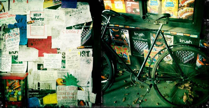 Milo's closeups 2.jpg