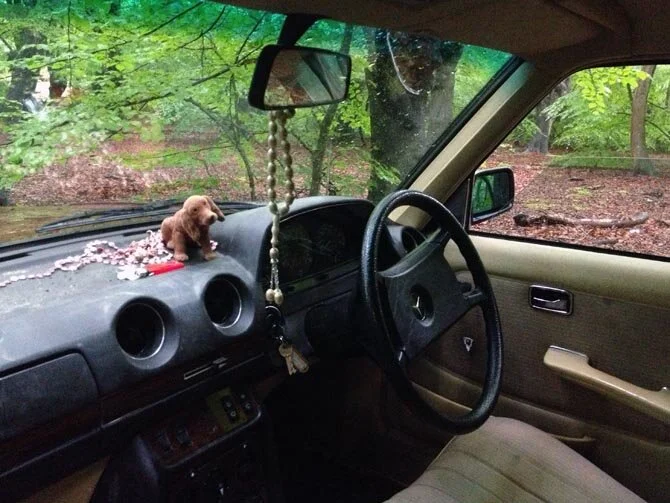 Car interior.jpg
