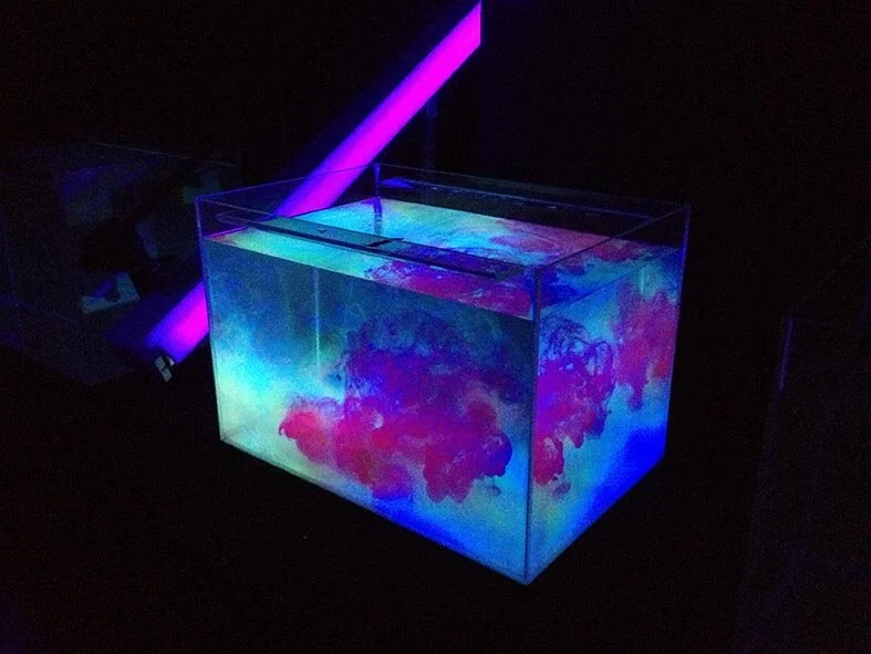 NEON 1.jpg