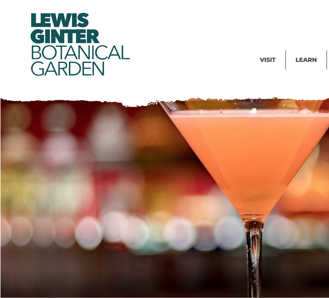 GARDEN TO GLASS: COCKTAILS YOU'LL FALL IN LOVE WITH