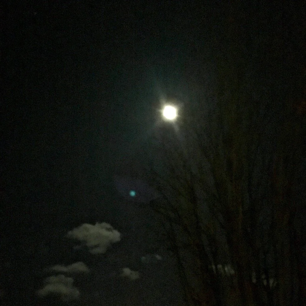 Pebonkas: Winter Maker Moon
