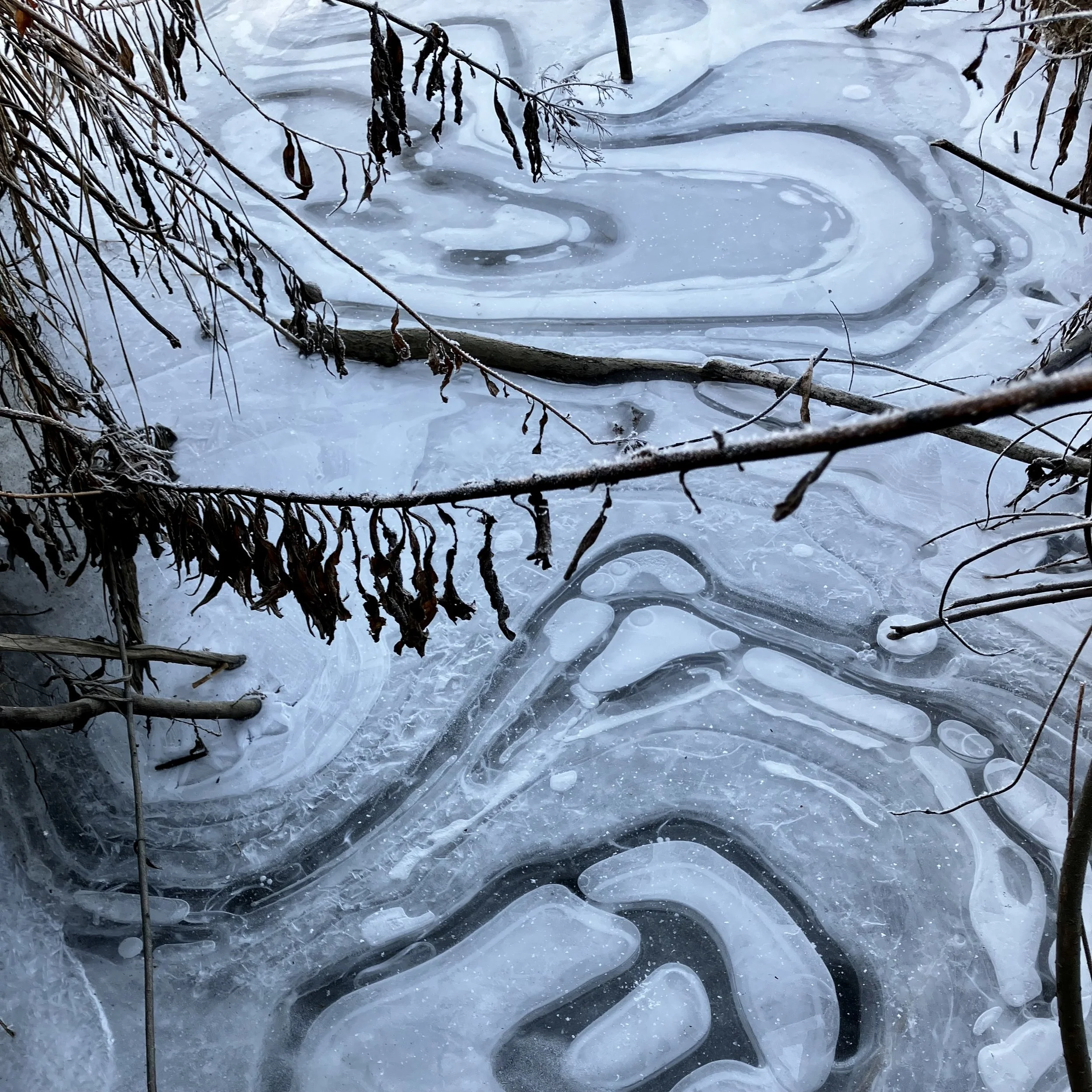 Late Autumn Guided Trail Walk &amp; Talk