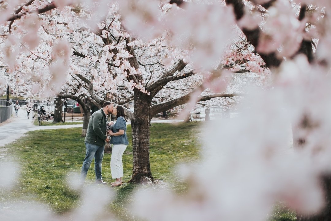 One of these days I&rsquo;ll get around to doing cherry blossom mini seshes, but for now I&rsquo;ll just bombard you with cherry blossom lovers instead, mmkay?
