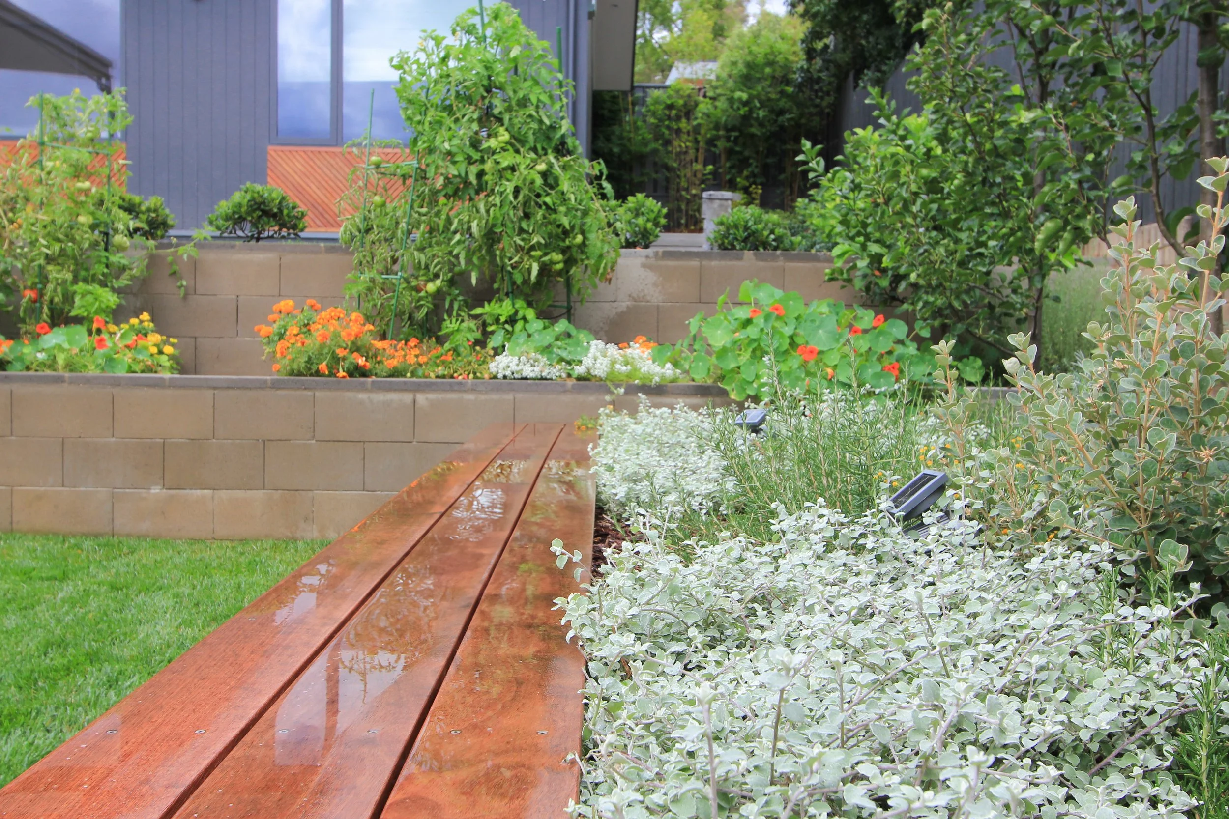 bench + vege garden.jpg