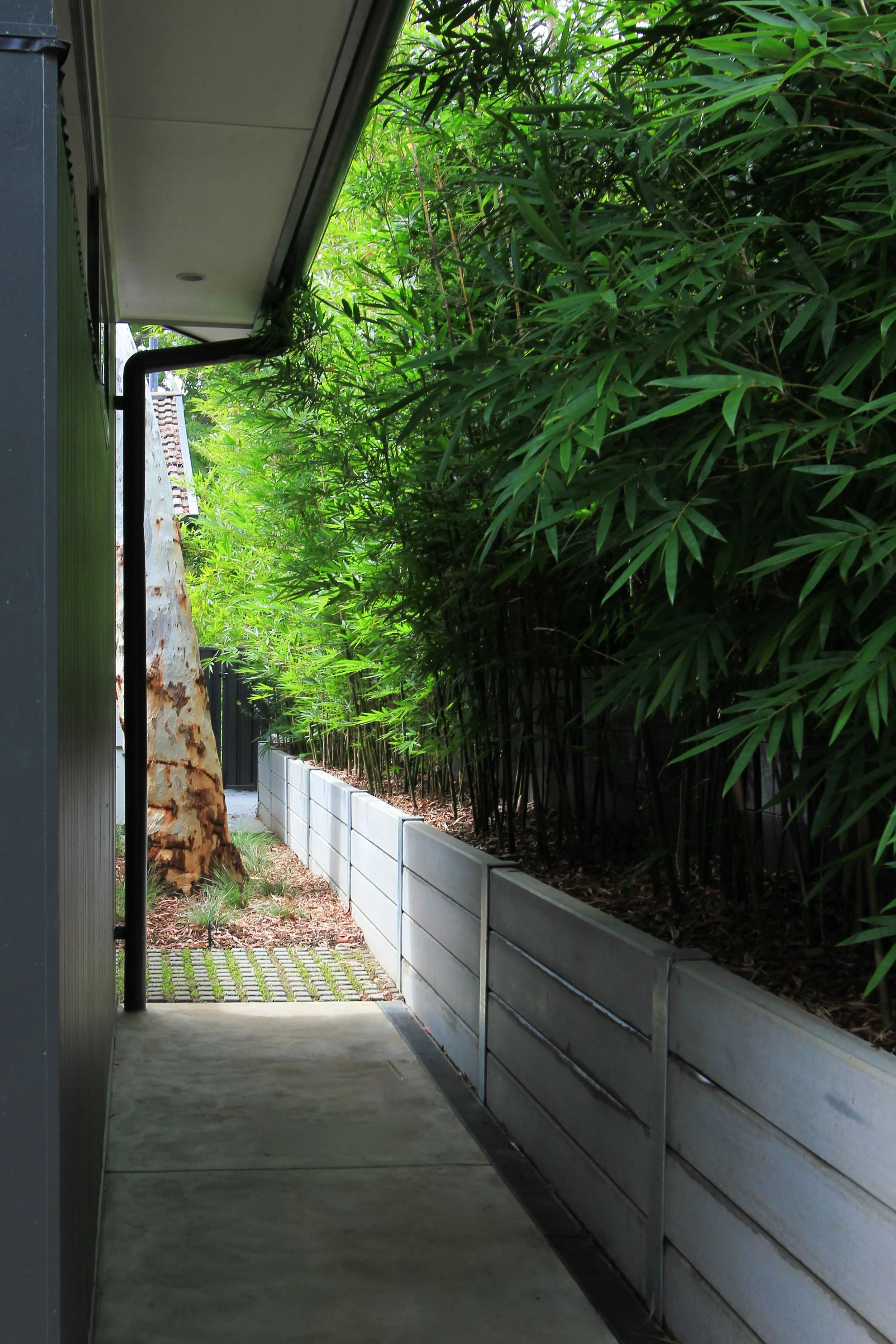 southern courtyard.jpg