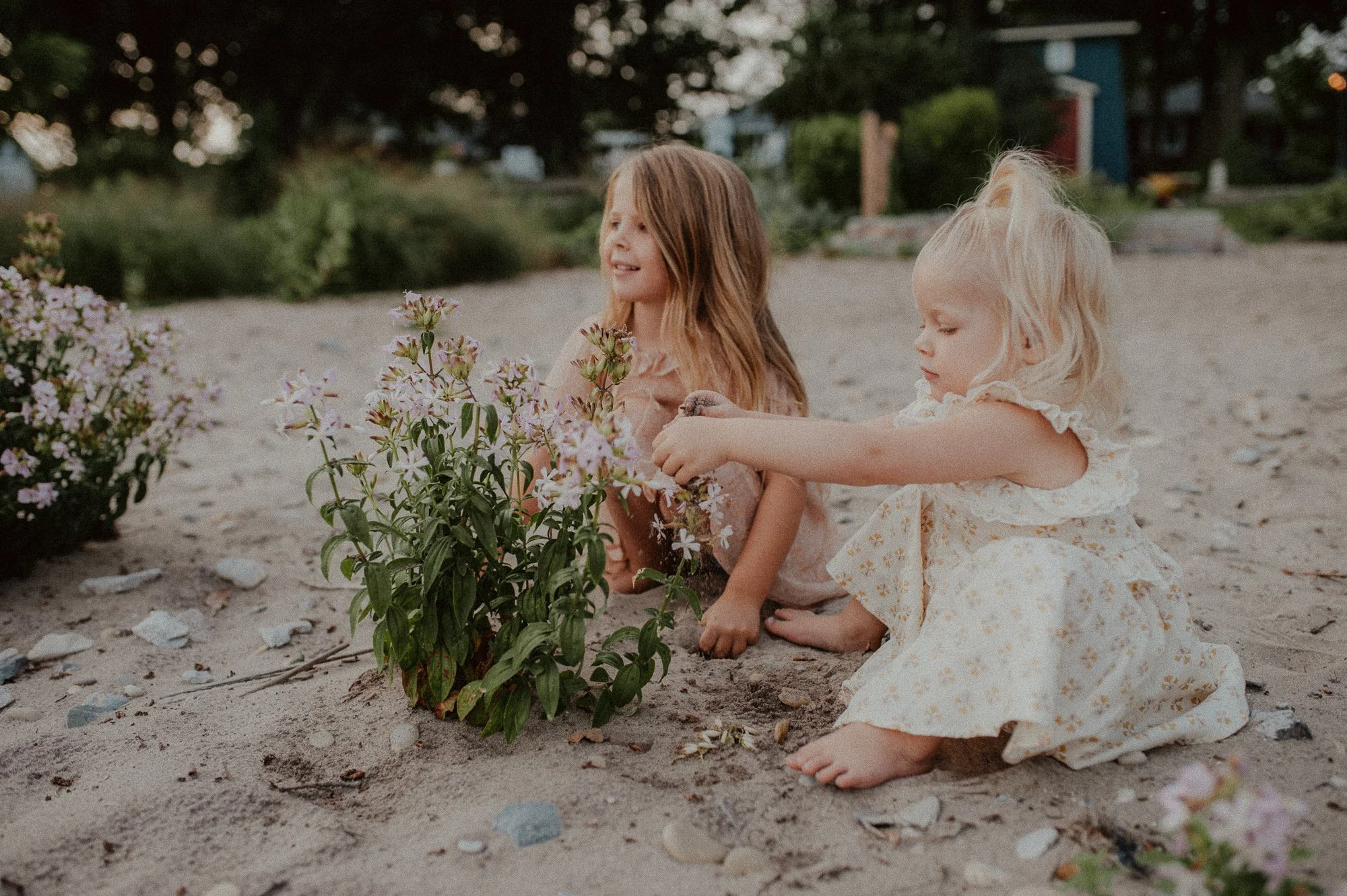 Two children sitting in sandy area, interacting with pink flowers, outdoors in Port Colborne, Ontario