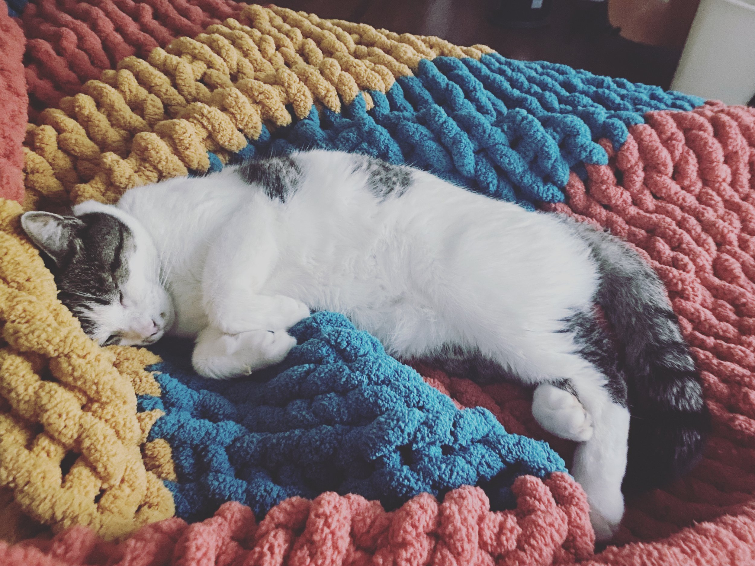 Chunky Blanket Workshop - 10/24 - 10AM