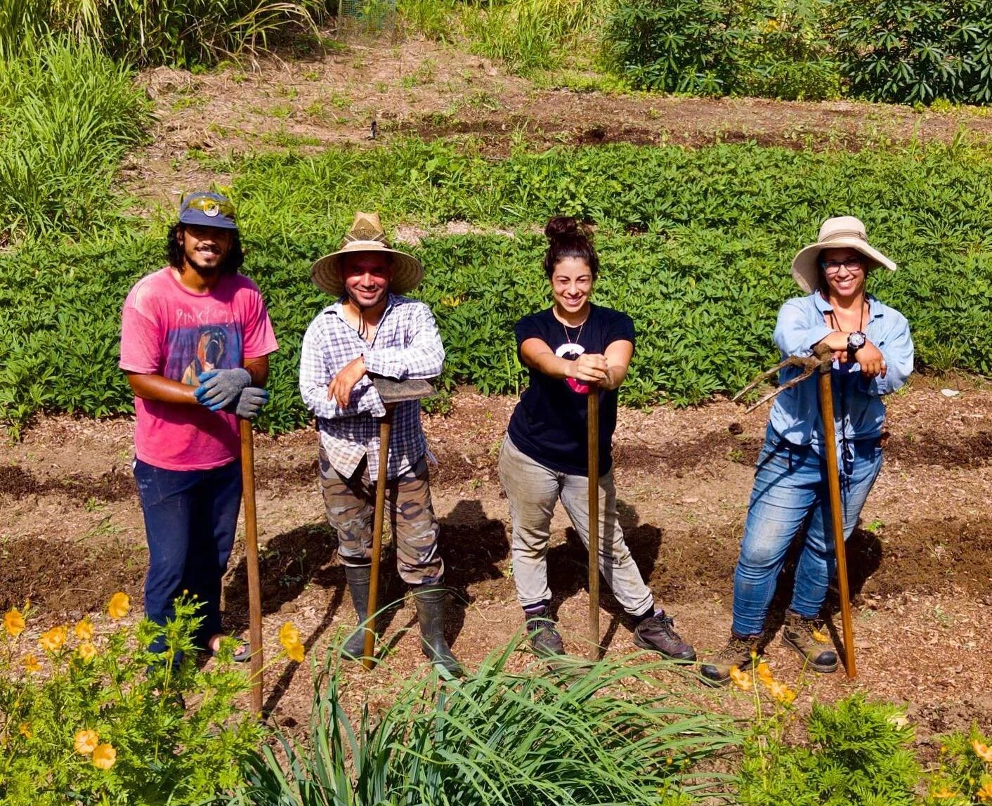A Farming Solution for a Hotter, Less Stable World