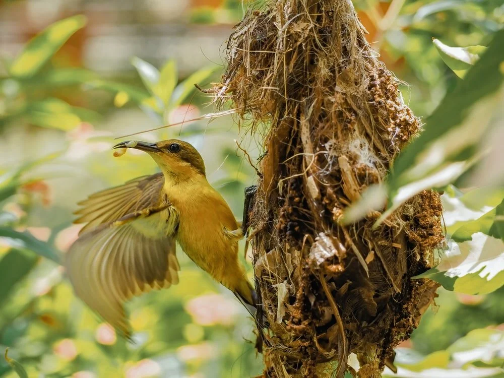 Learning about learning