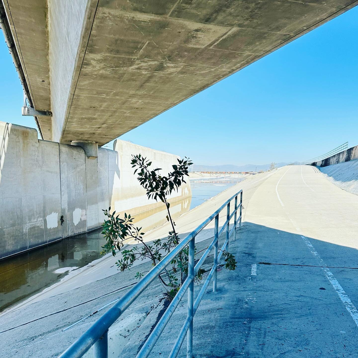 LA River. Shots from my 18 mile run a few weeks ago. Anxiously awaiting the big 26 this weekend!