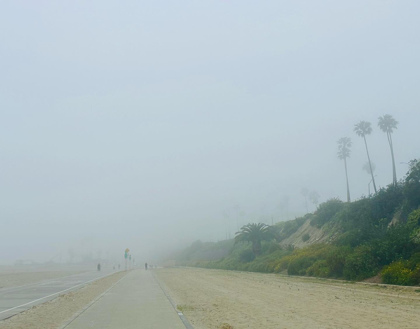 Foggy Long Beach