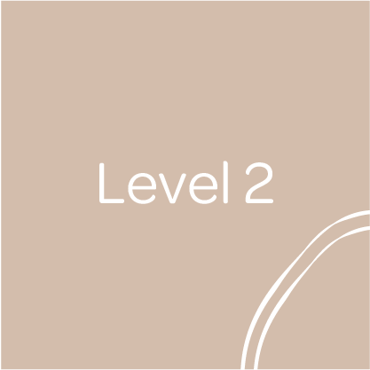 Level 2