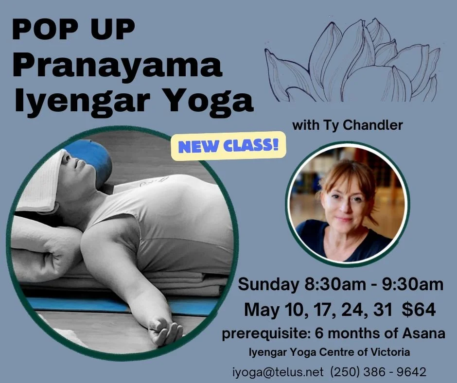 Pop Up Pranayama   May 10 (sub), 17, 24, 31   Iyengar Yoga Centre of Victoria B.C.