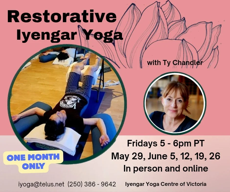 Friday Night Restorative Class  Iyengar Yoga Centre of Victoria 