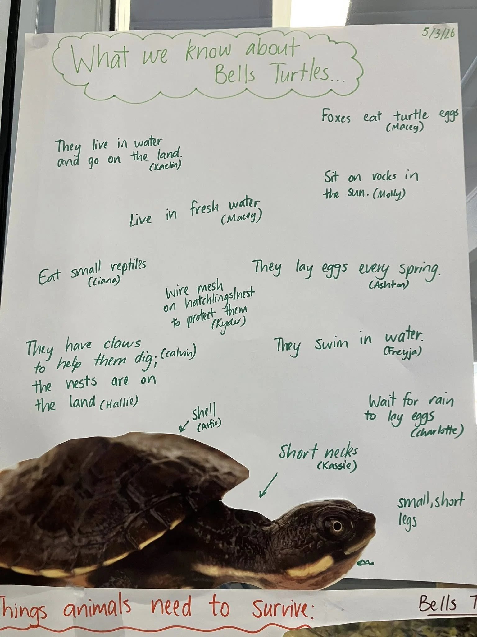 GBSAN Schools Project