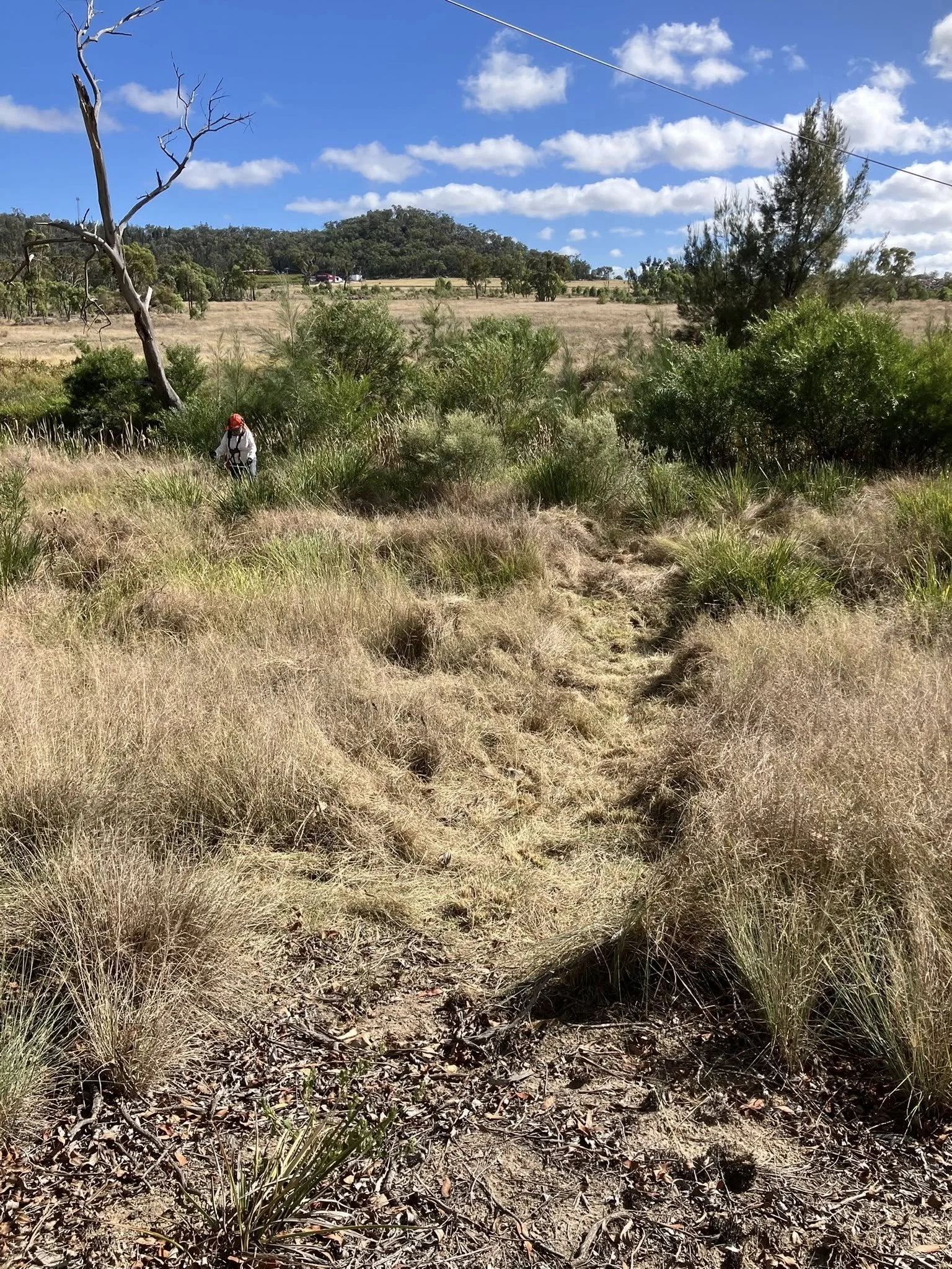 GBSAN Bushcare Group Activities