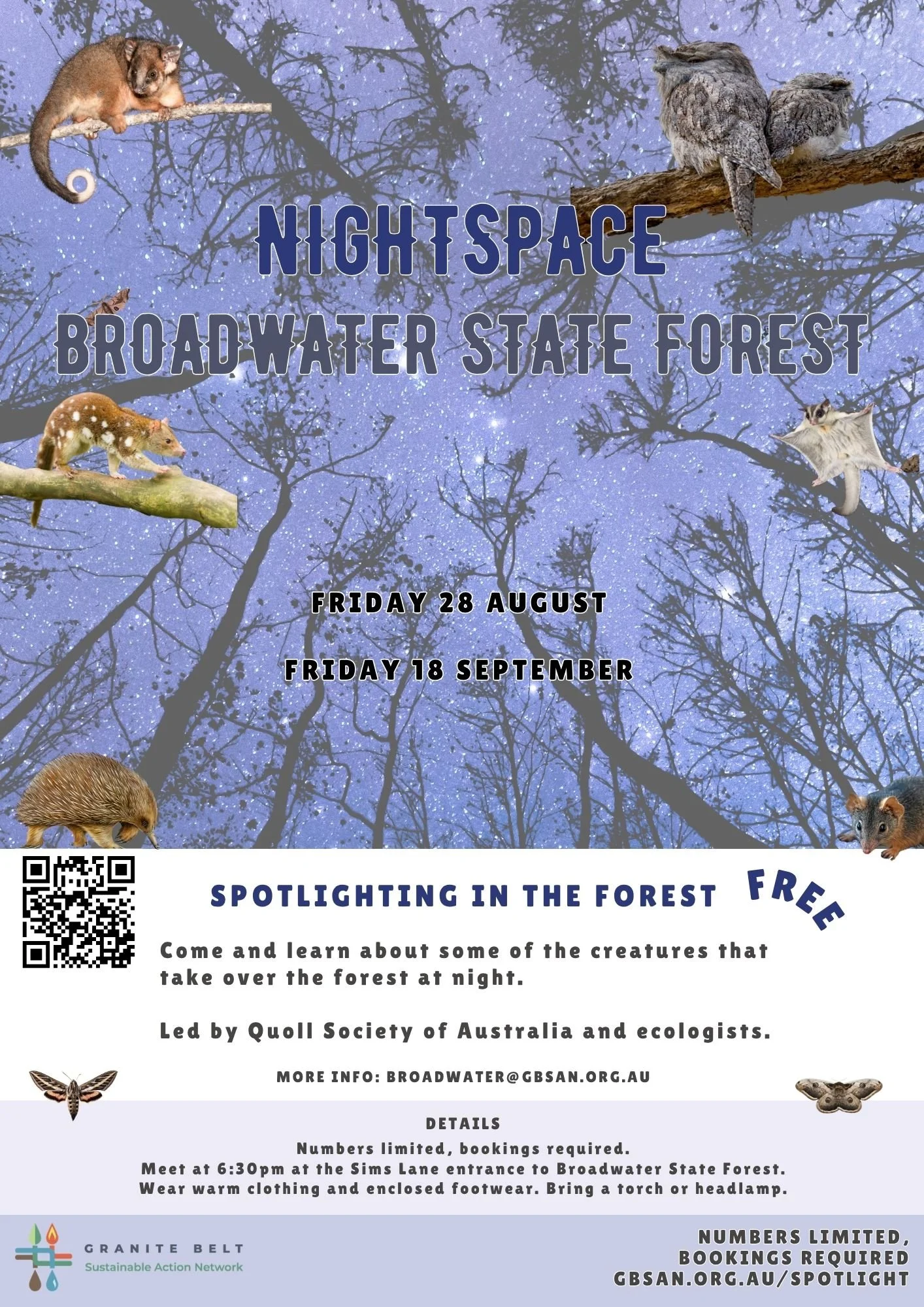 NightSpace: Spotlighting in Broadwater State Forest