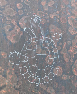 Ballandean School Bell’s Turtle Project