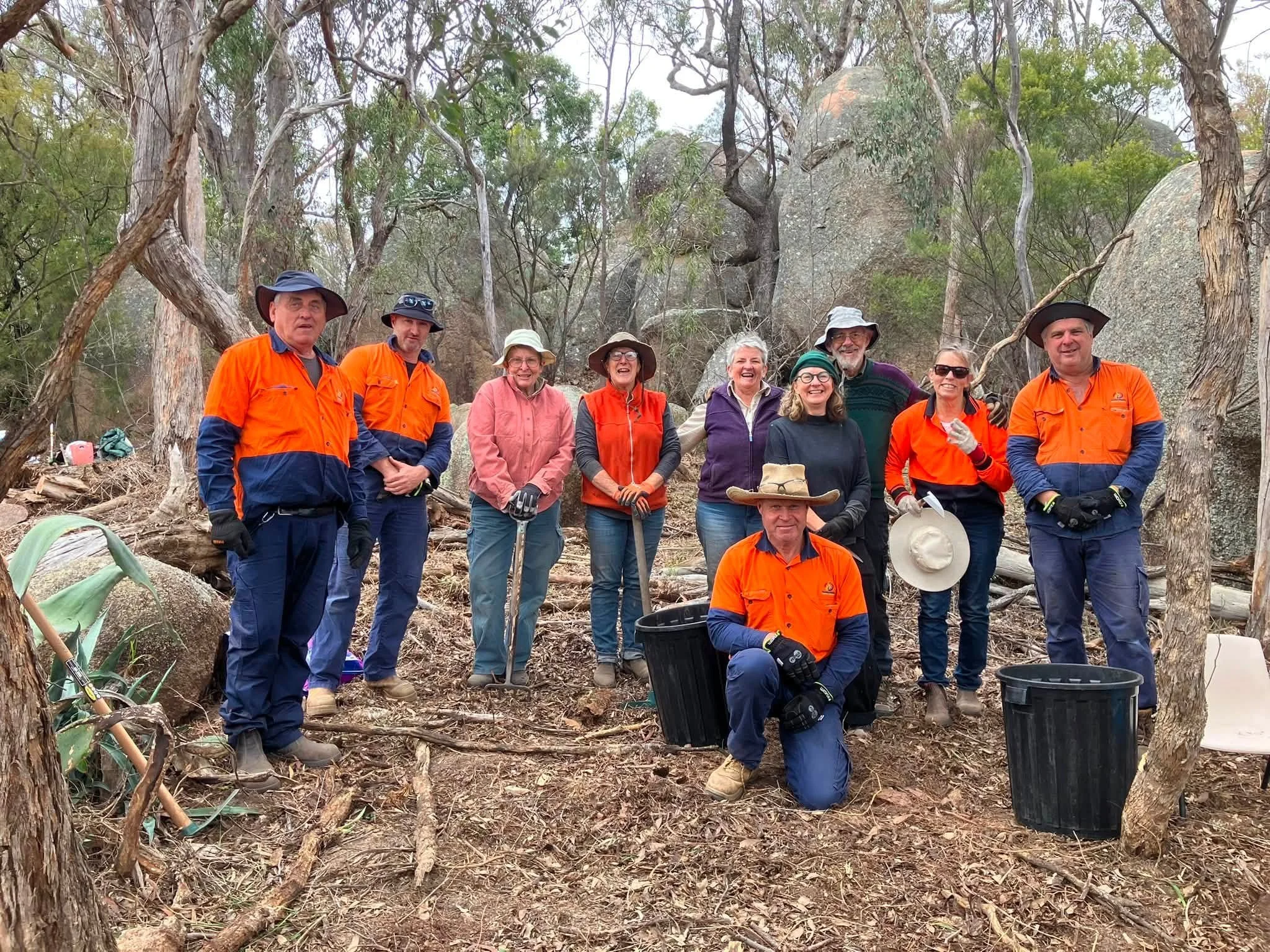 Bushcare 
