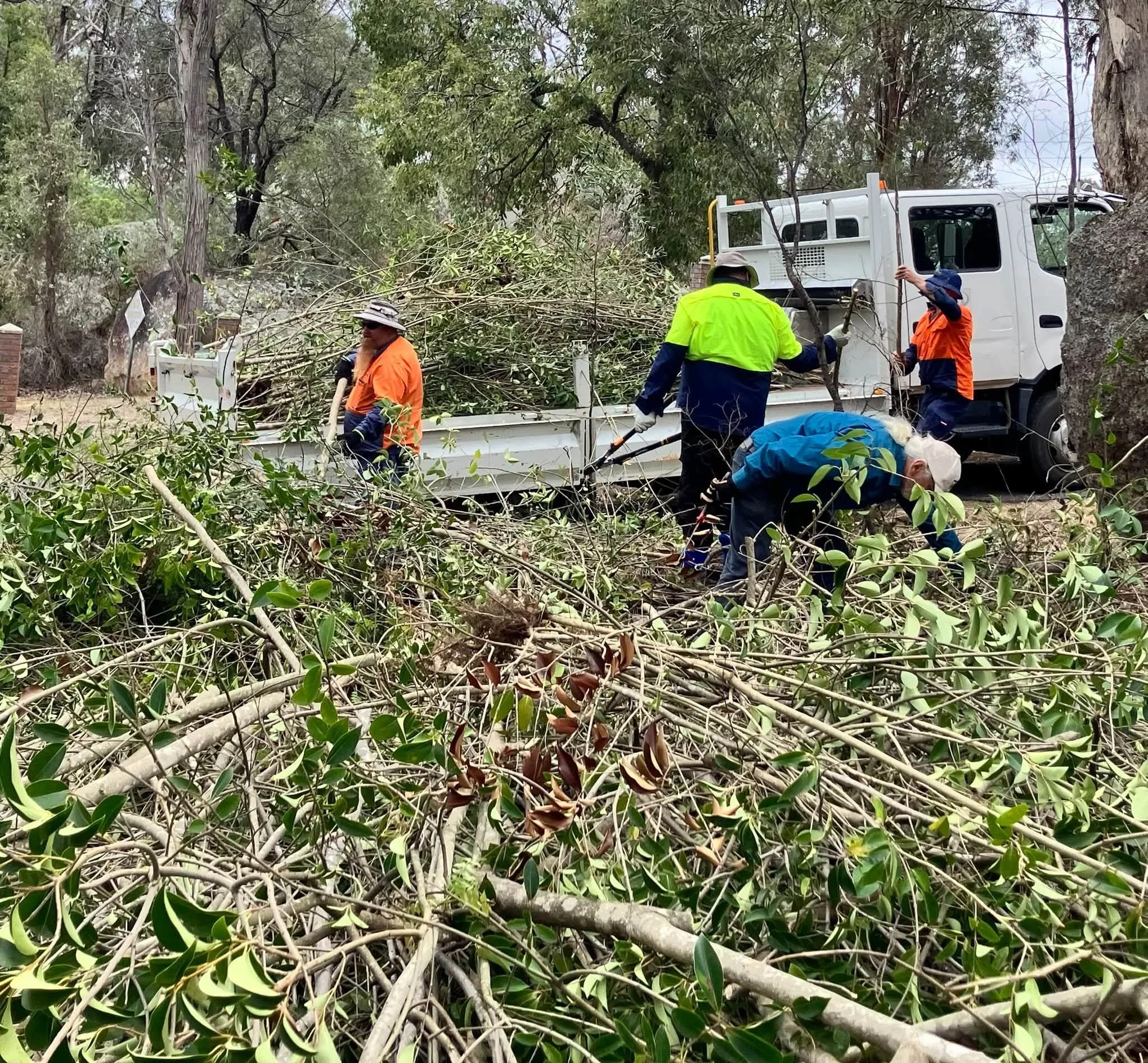 Bushcare, October Update