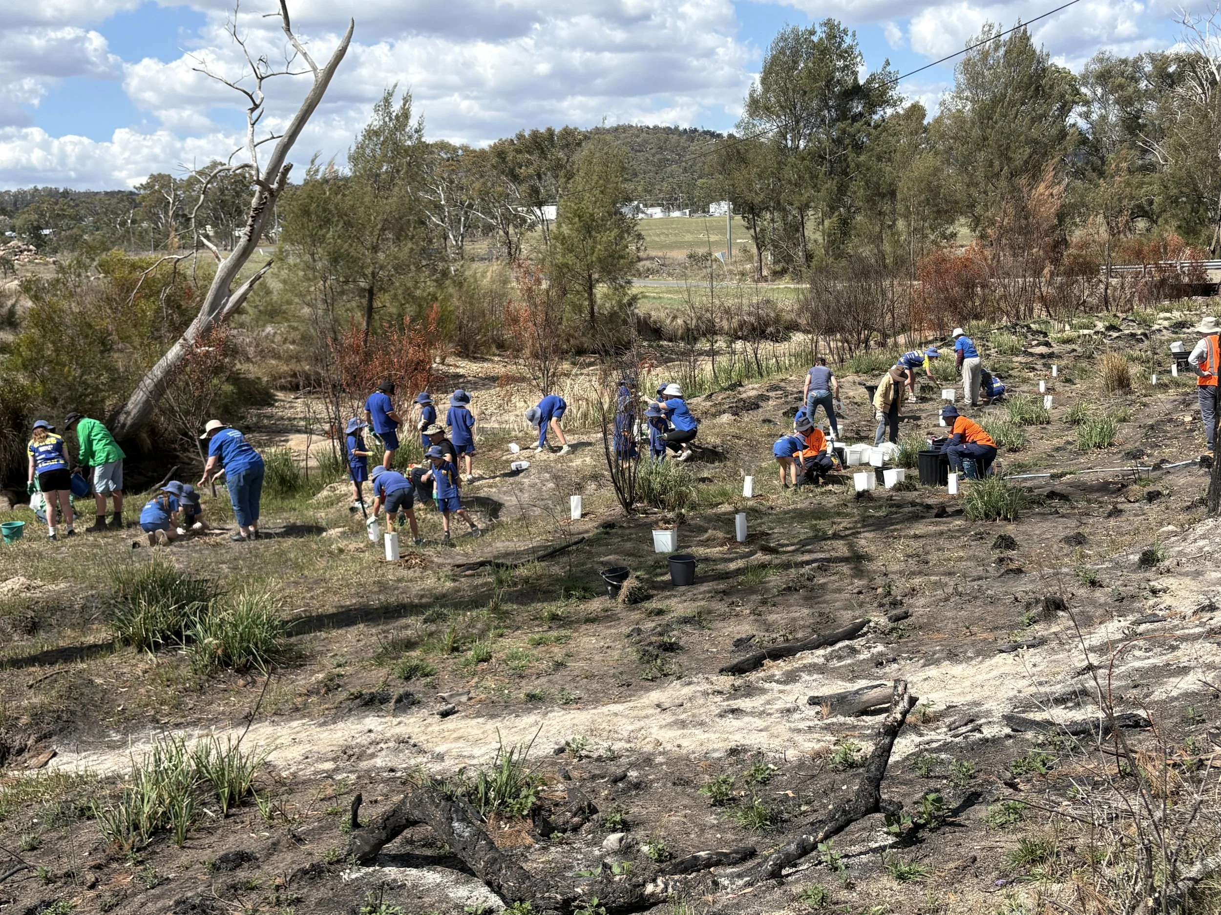 Schools Project – Ballandean SS Bell’s Turtle Project