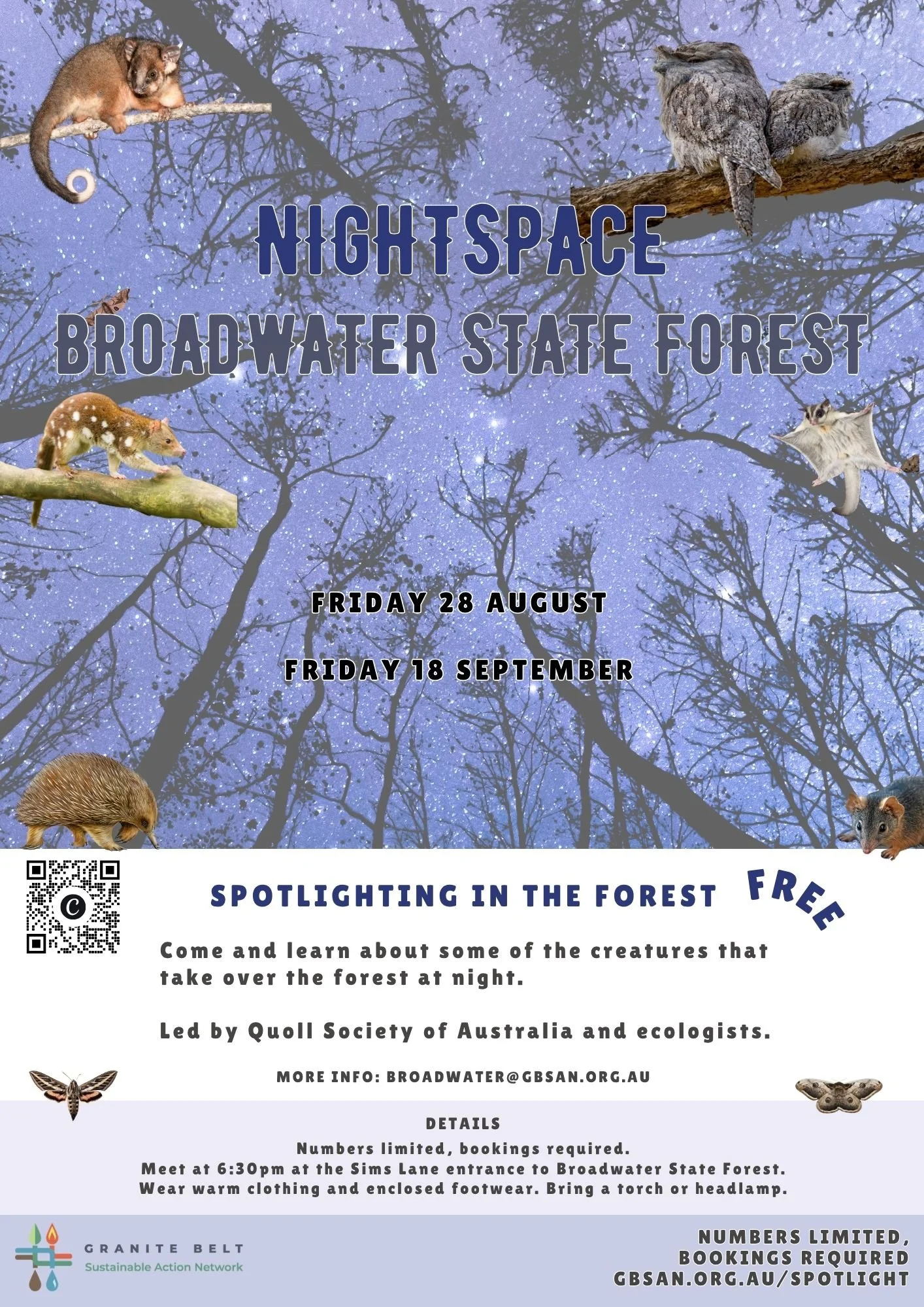 NightSpace: Spotlighting in Broadwater State Forest