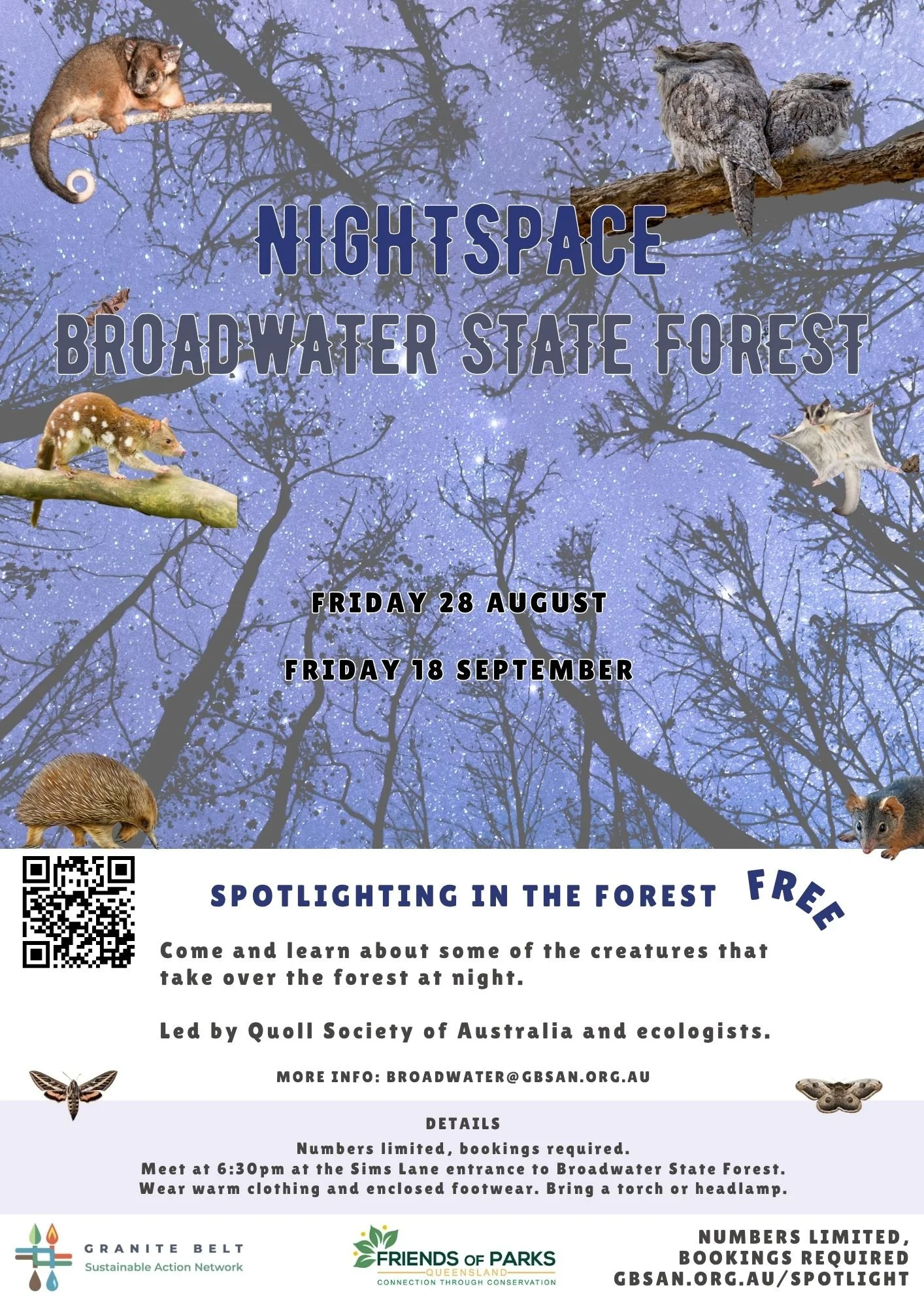 NightSpace: Spotlighting in Broadwater State Forest