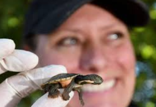 GBSAN Schools Project