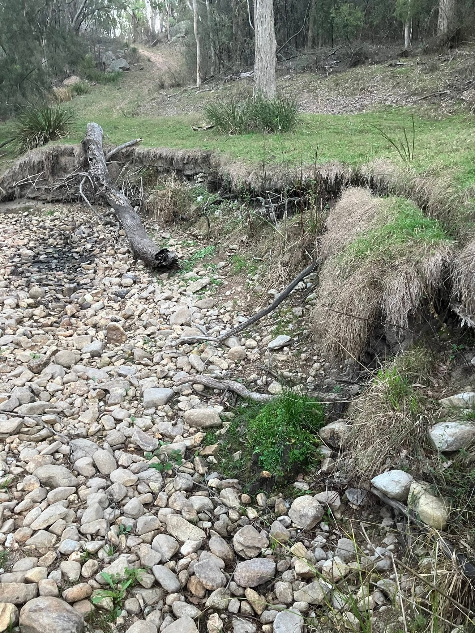 Landscape Linkages